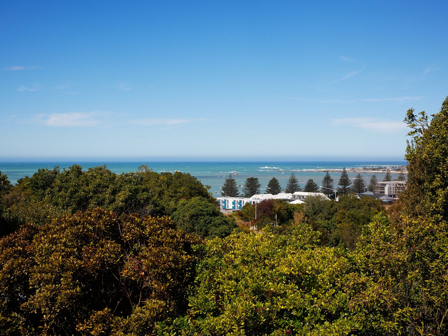 Protea House - Kaikoura Holiday Home                     photo 38