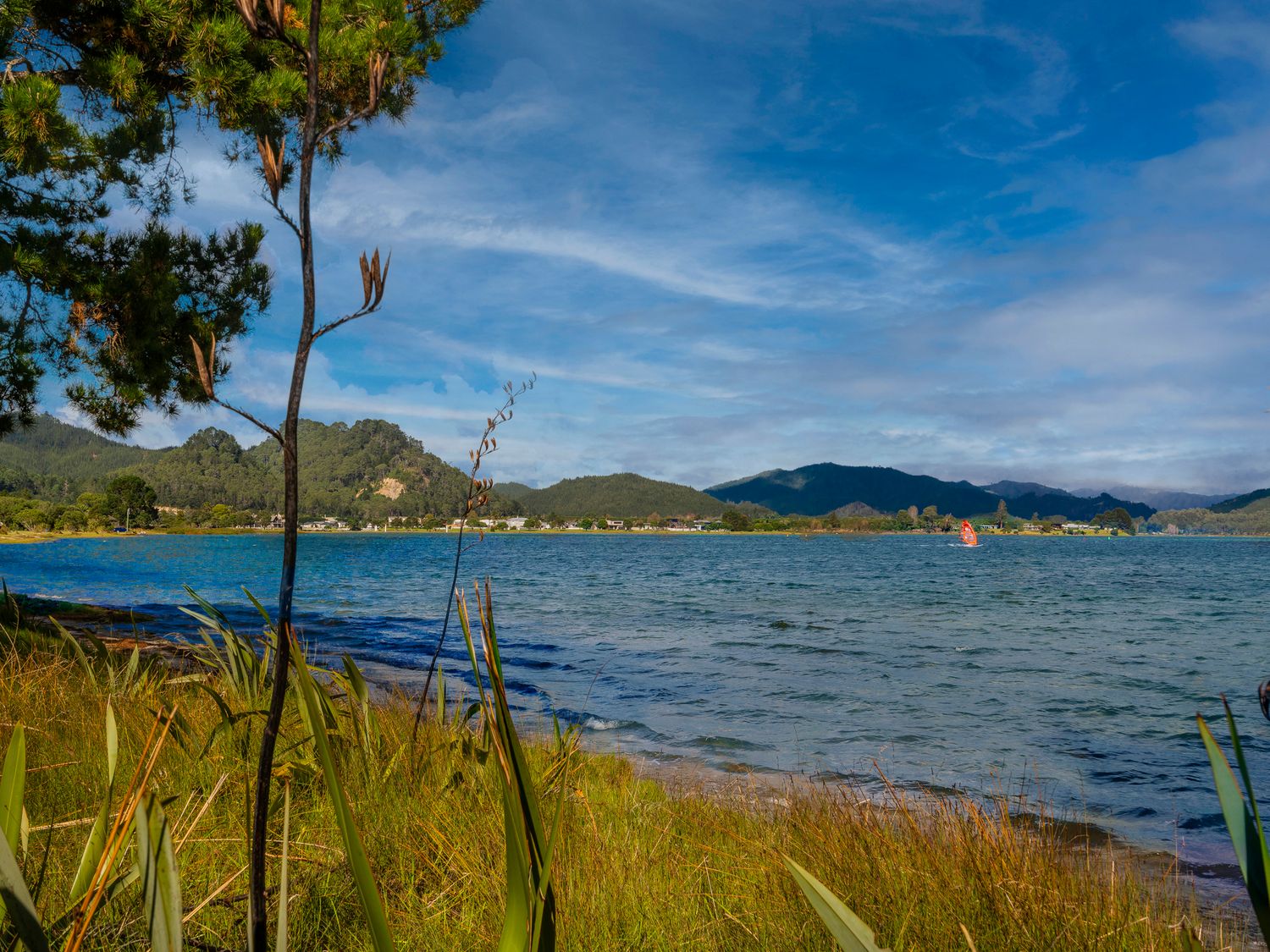 Sheppard's Rest - Pauanui Holiday Home                     photo 33