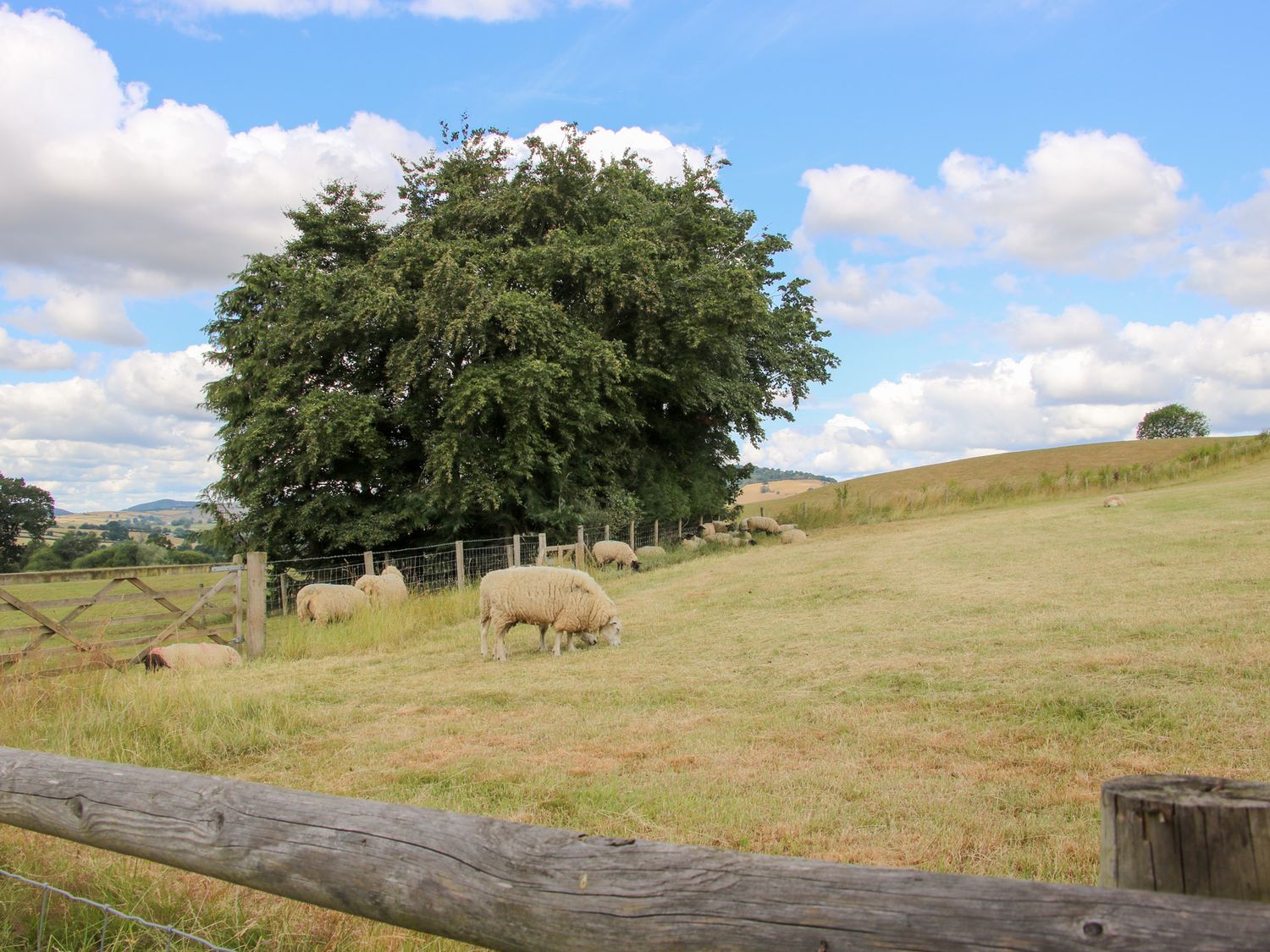 Meadow Barn, Aston On Clun