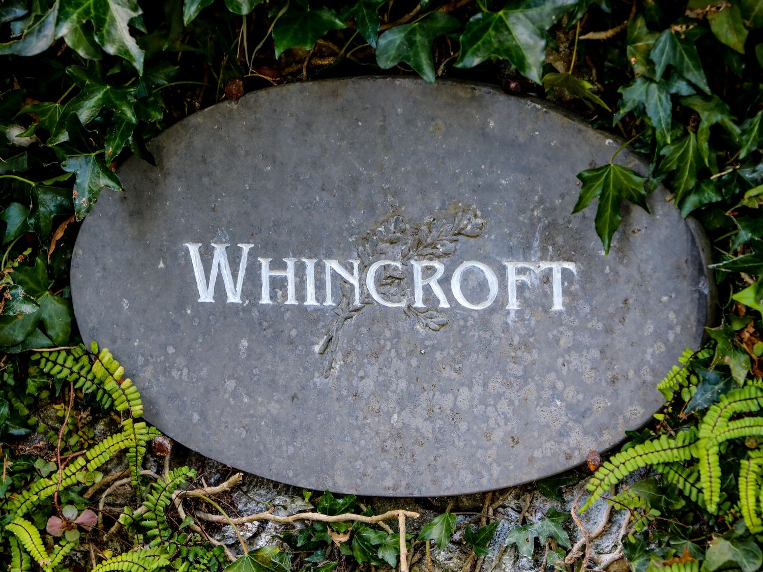 Whincroft, Mary Tavy