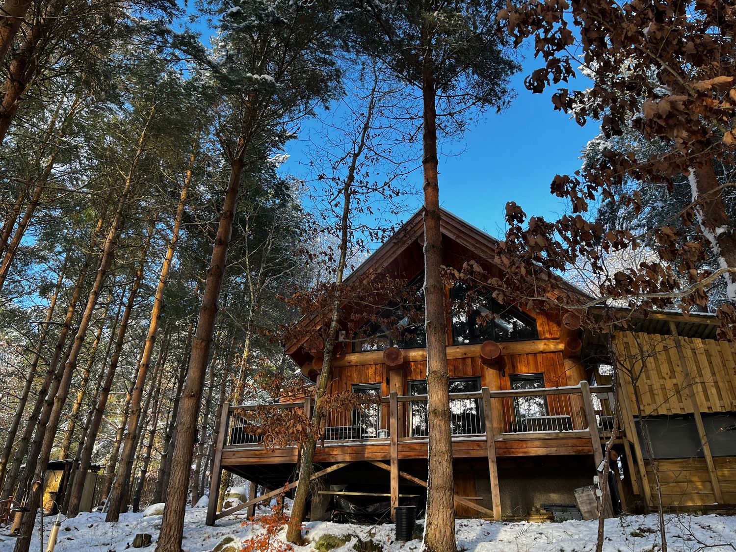 Pine Marten Lodge, Nethy Bridge