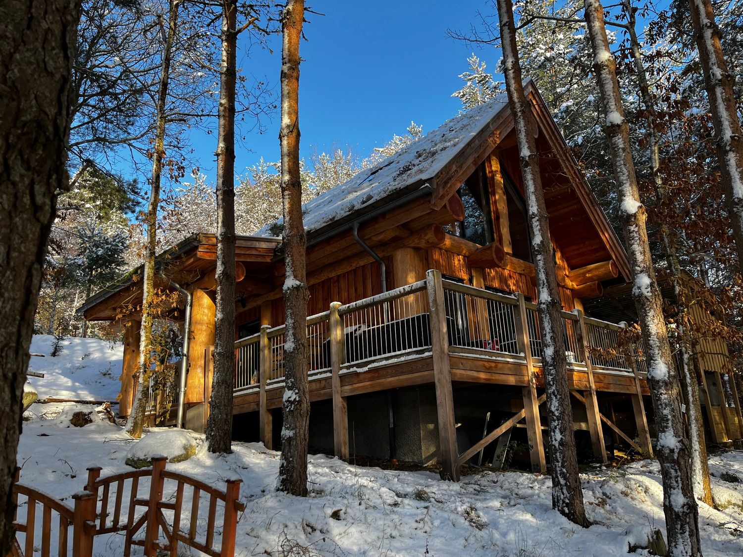 Pine Marten Lodge, Nethy Bridge