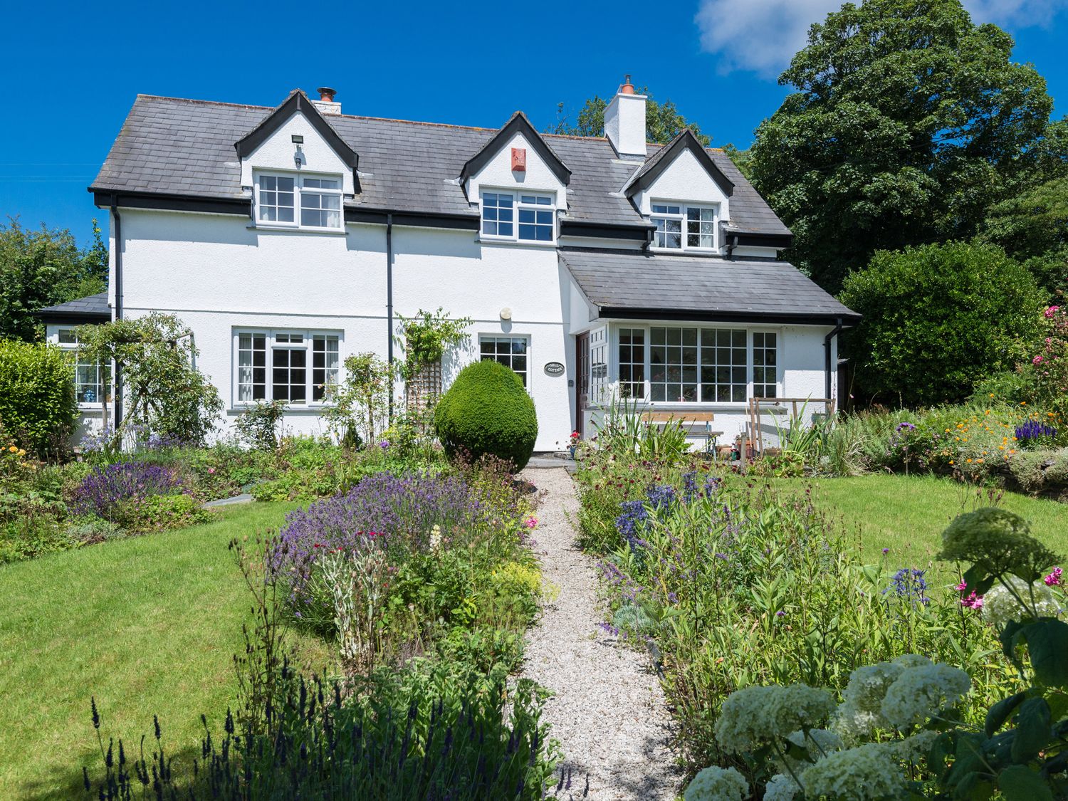 Hill Cottage - Cornwall - 1085591 - photo 1