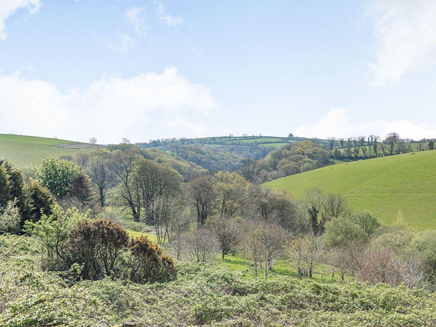 Apple Barn, South Molton