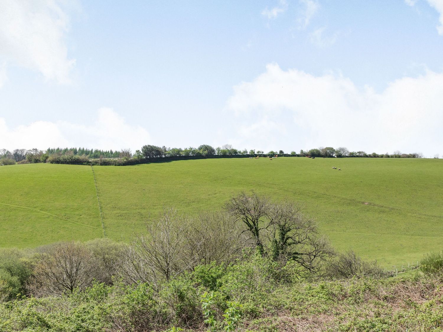 Apple Barn, South Molton