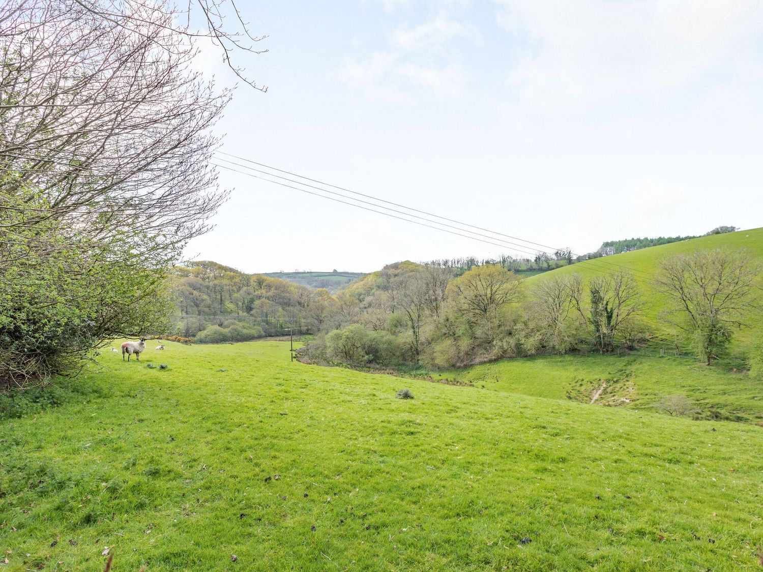 Apple Barn, South Molton