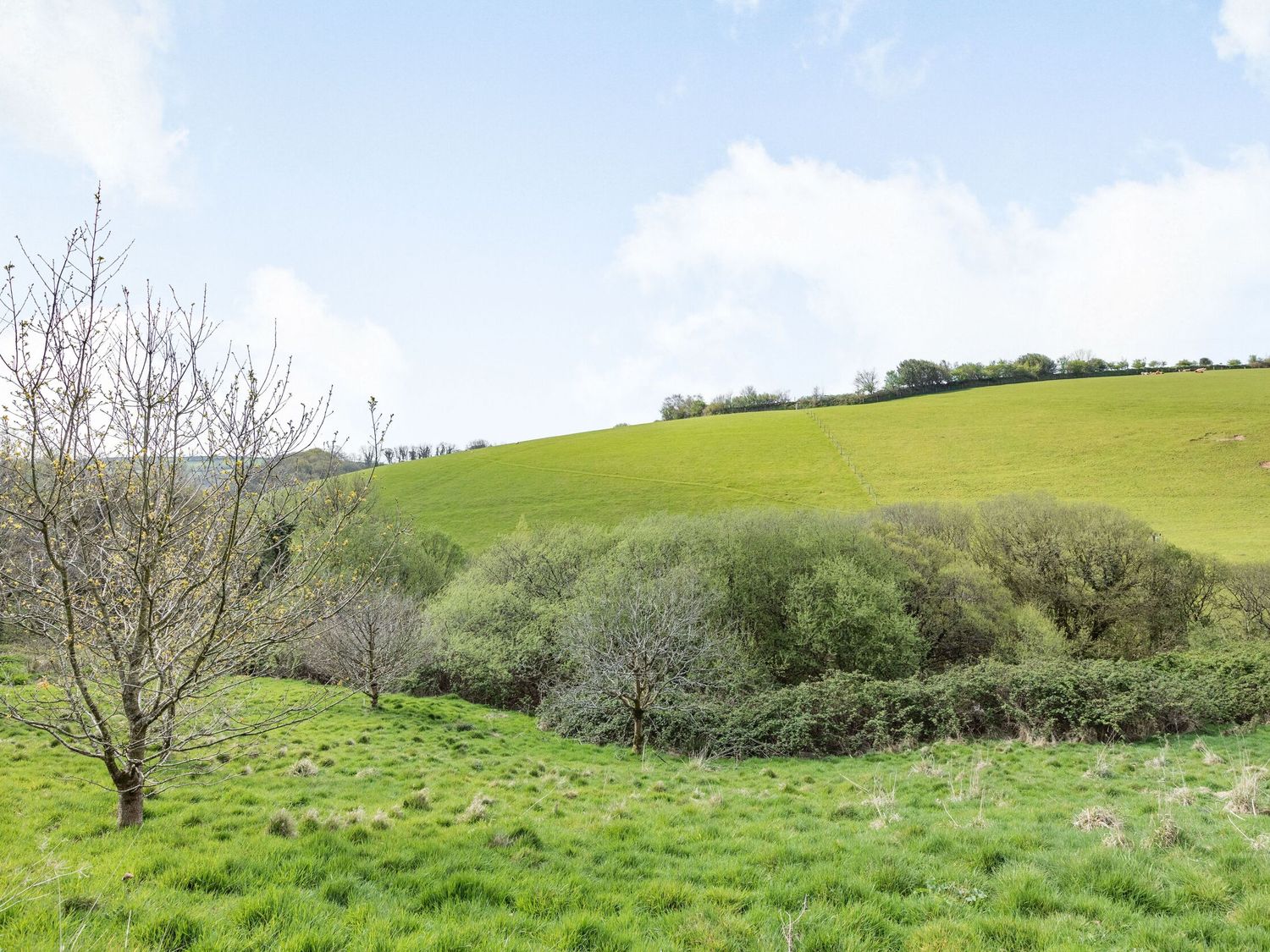 Apple Barn, South Molton