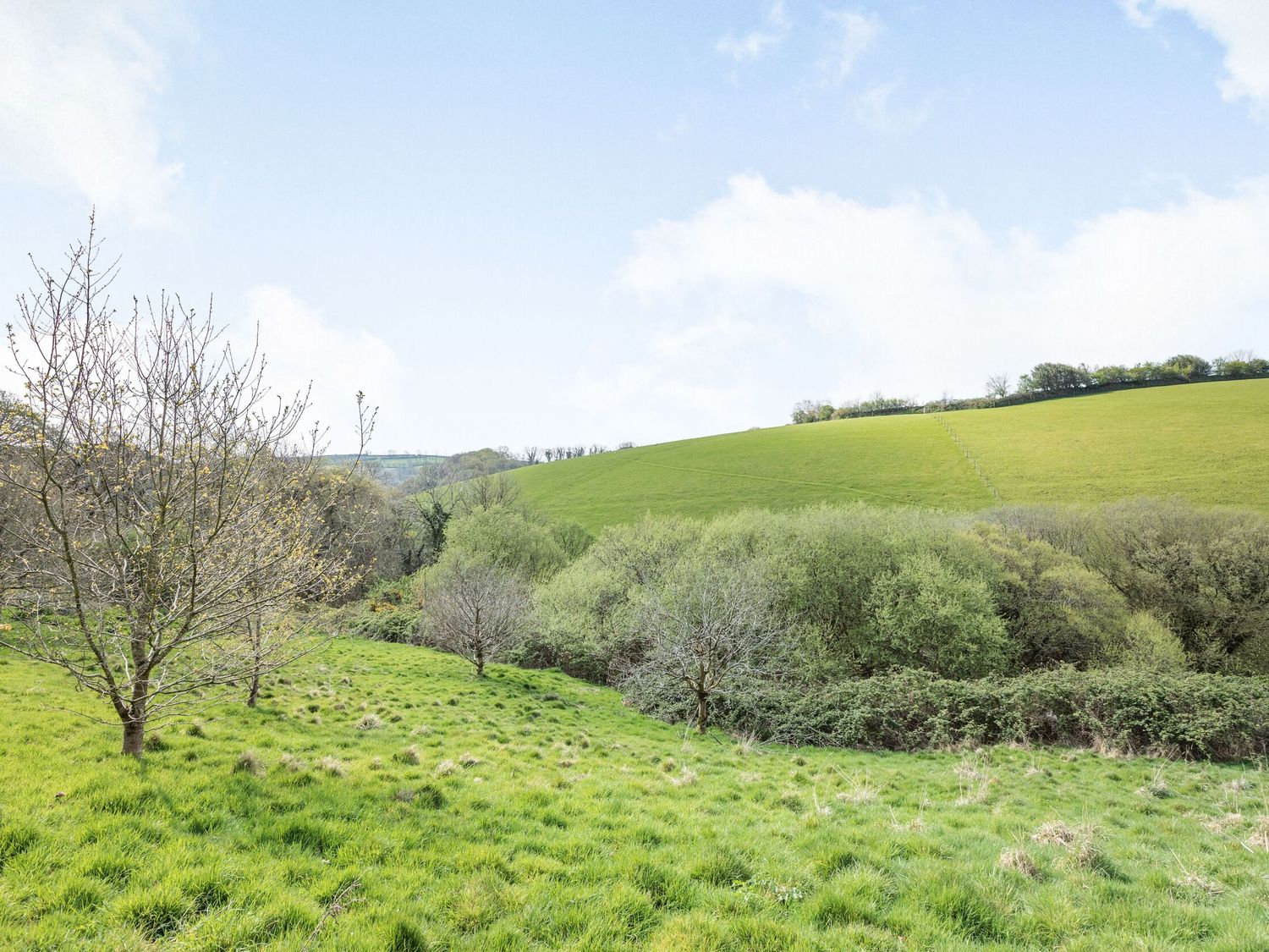 Apple Barn, South Molton