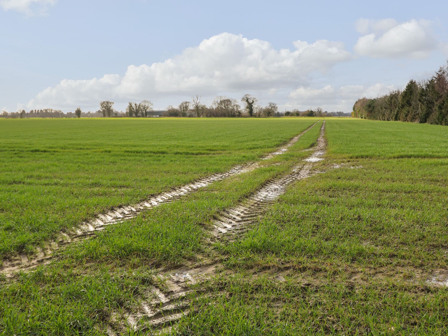 Nicol Nook, Drax, North Yorkshire 