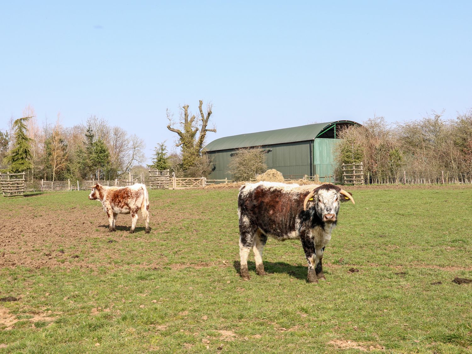 Nomad (shepherds hut), Kibworth