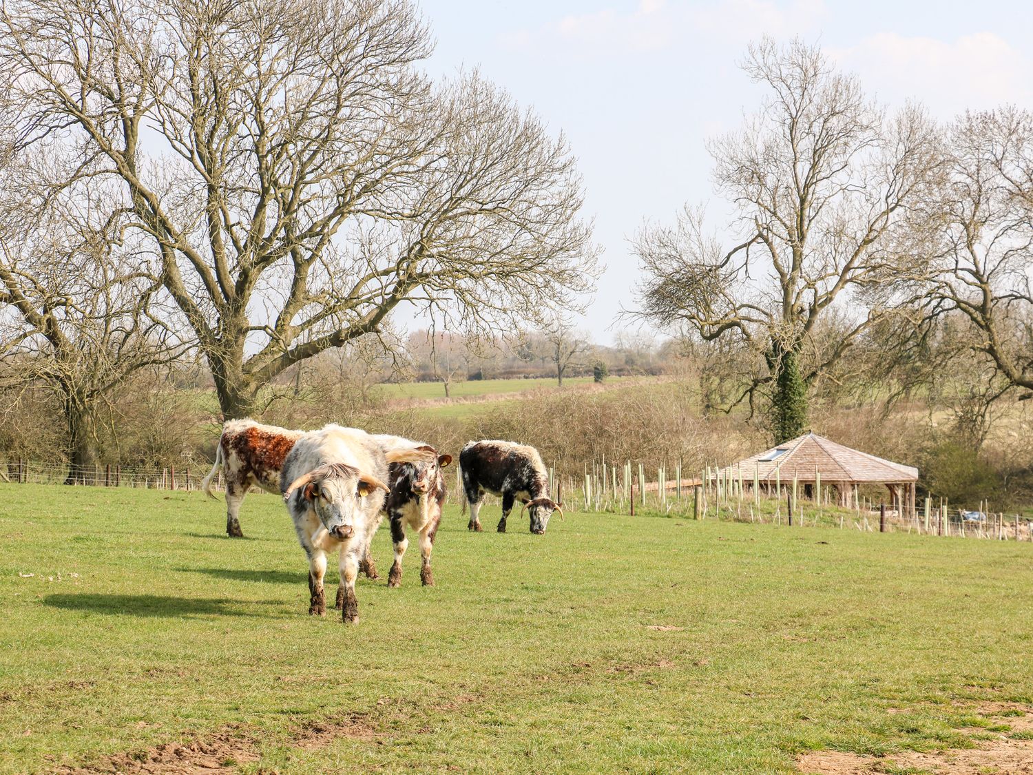 Nomad (shepherds hut), Kibworth