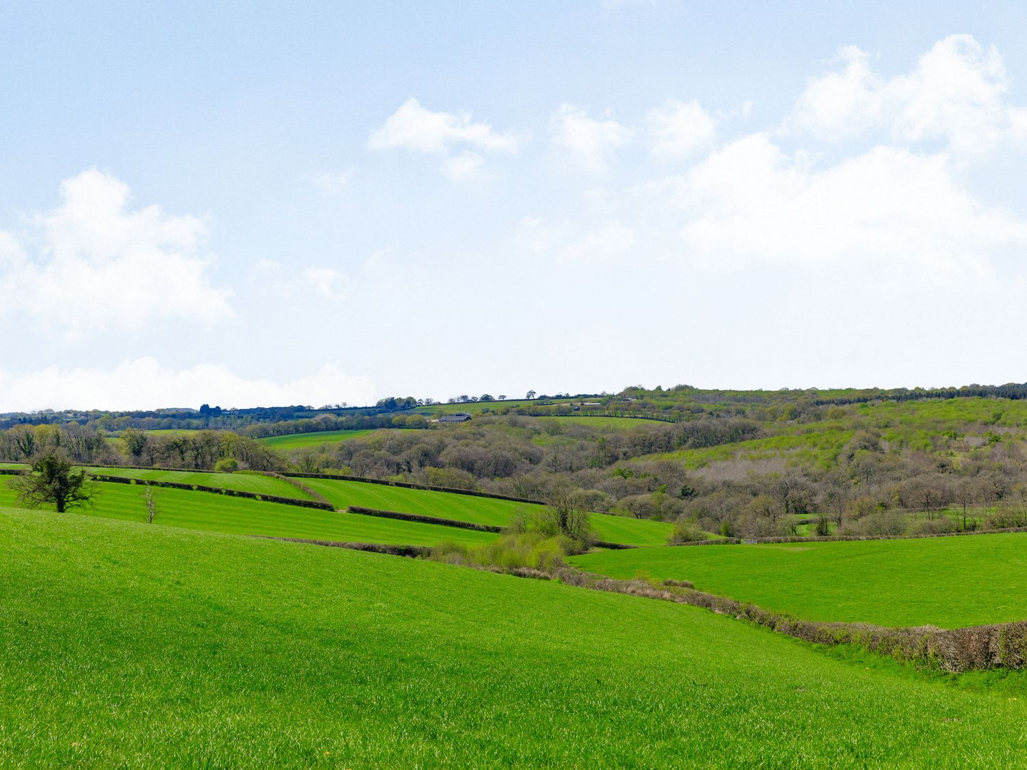 Olive Barn, Rackenford