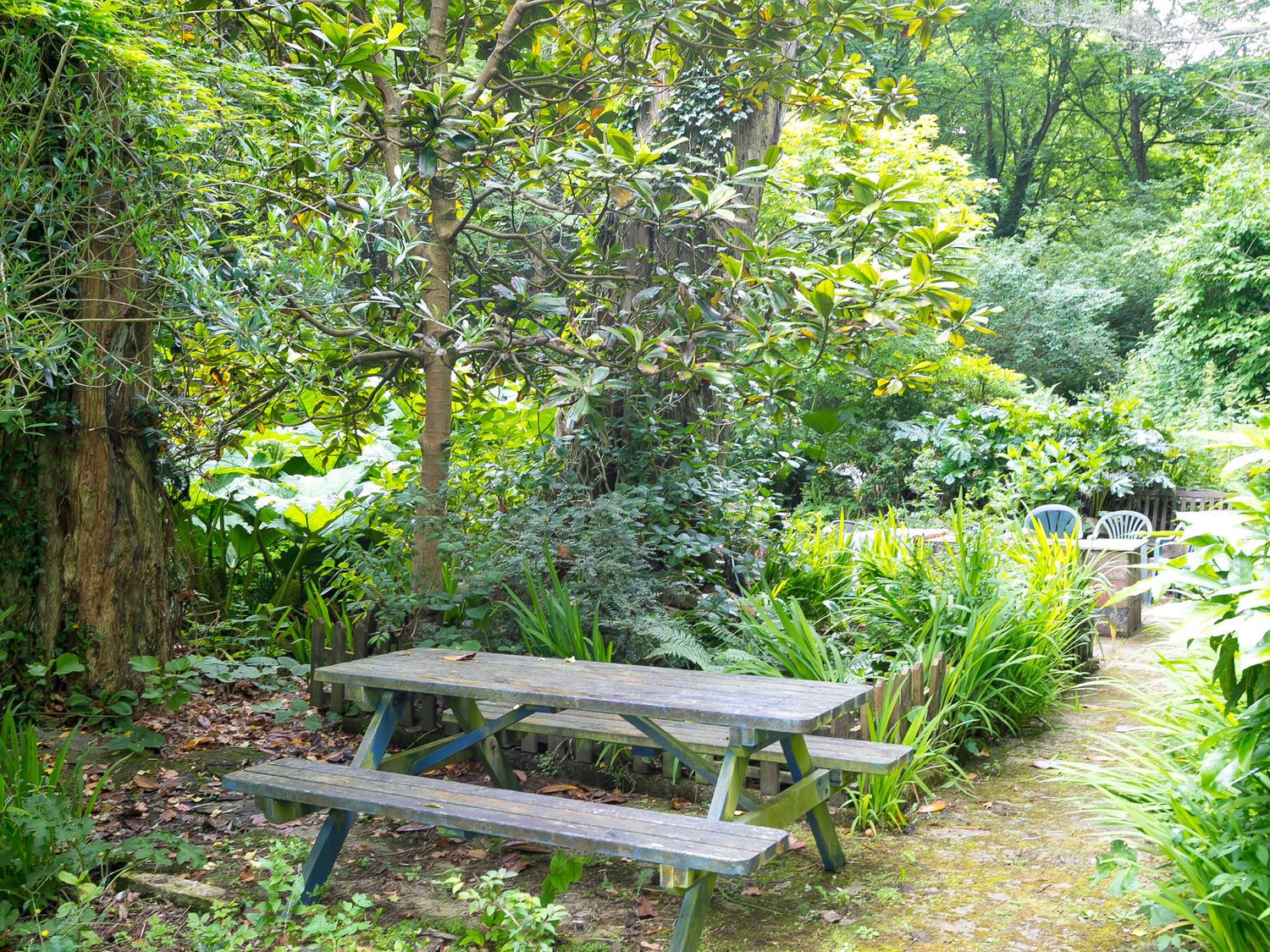 Garden Spring, Portreath