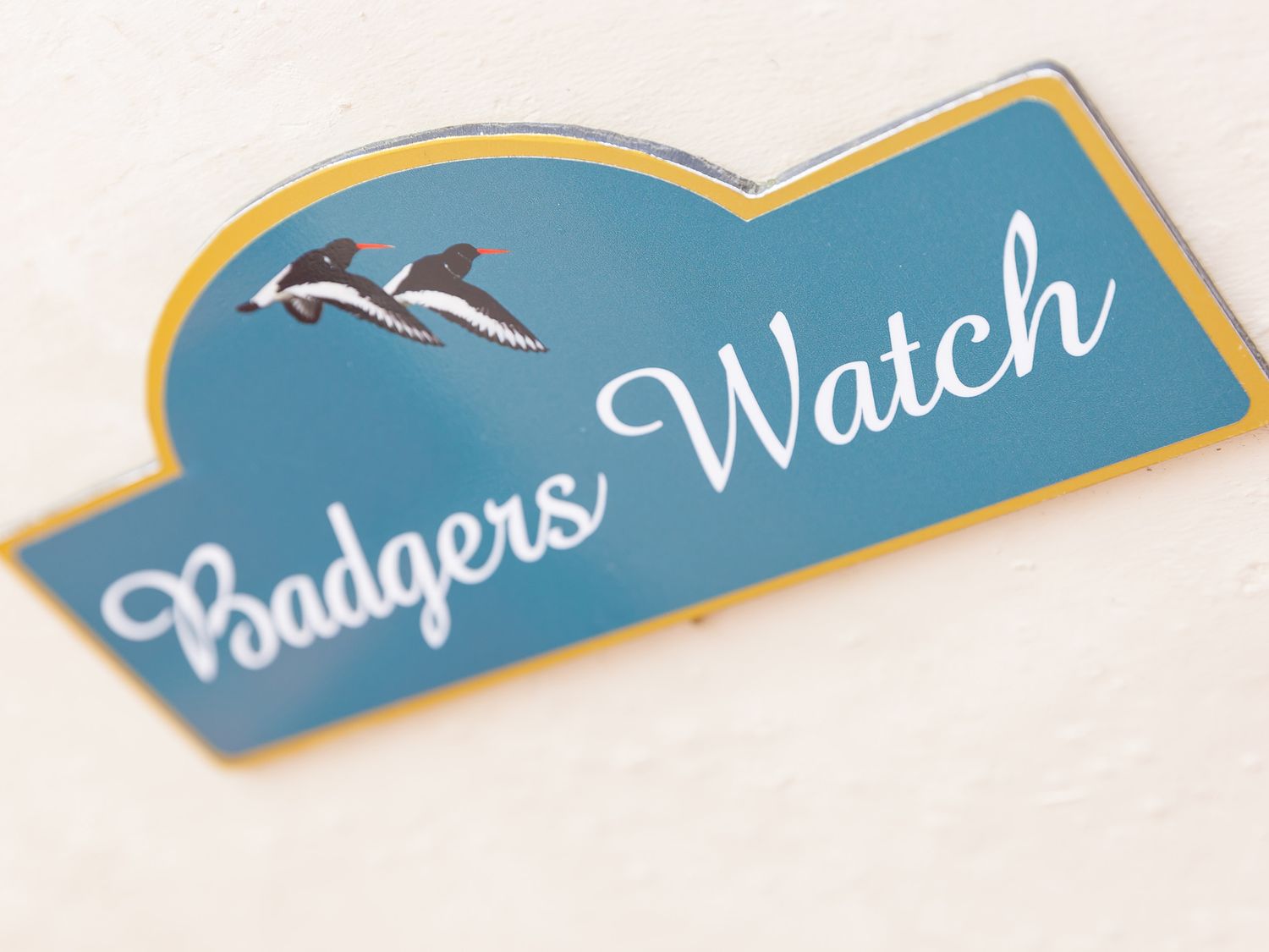 Badger's Watch, Portreath