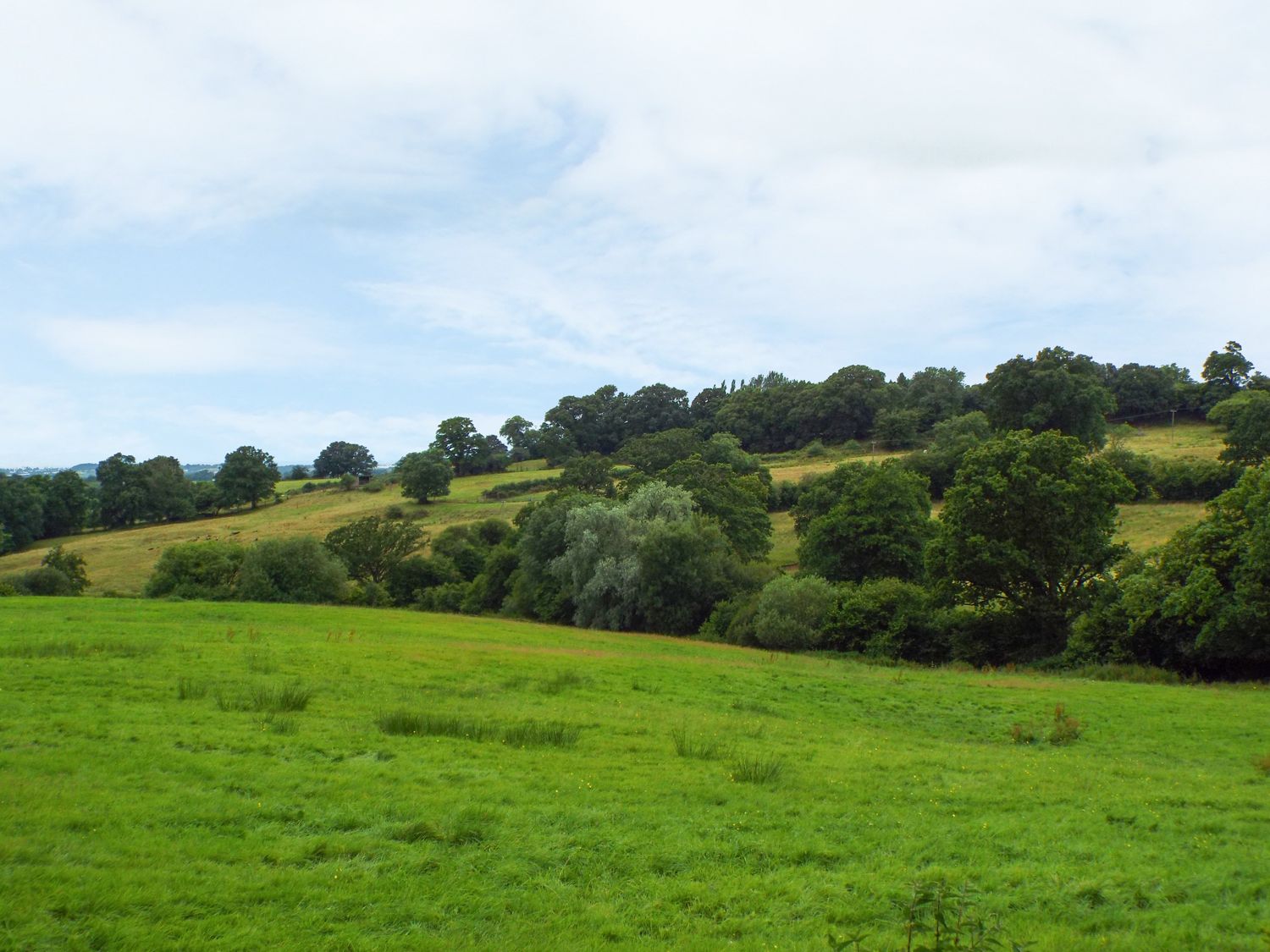 Ryecross Farm Cottage, Dorset And Somerset
