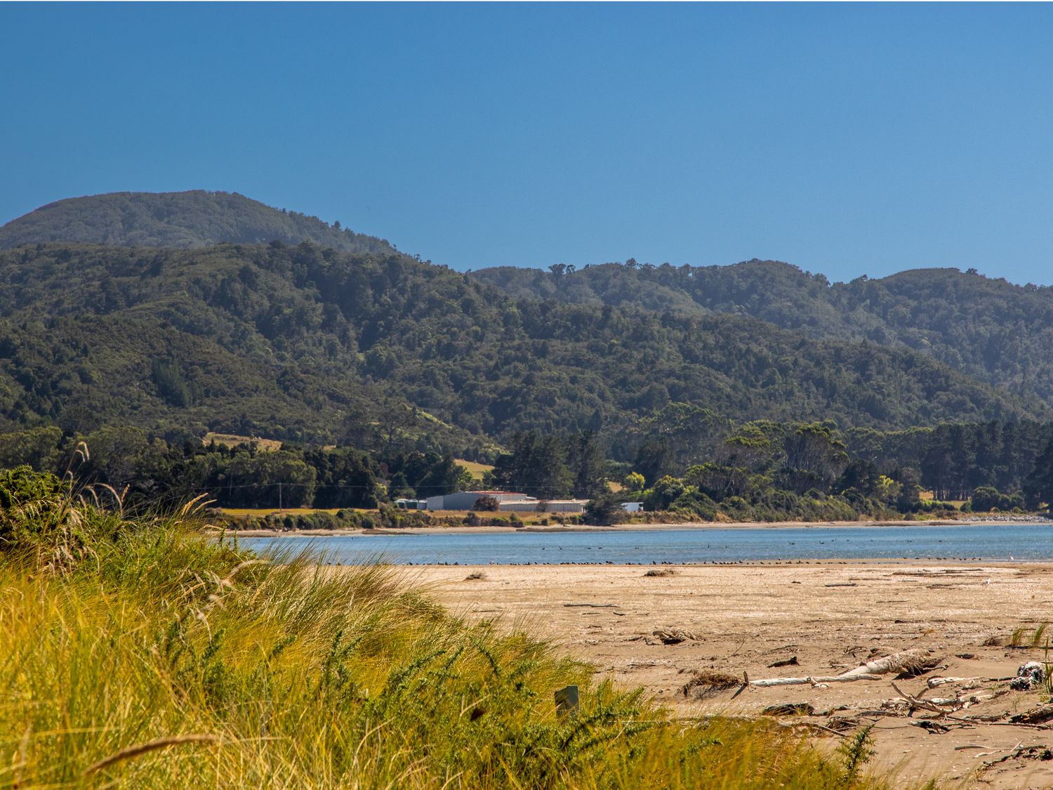 Godwit Cottage - Pākawau Beachfront Holiday Home                     photo 26