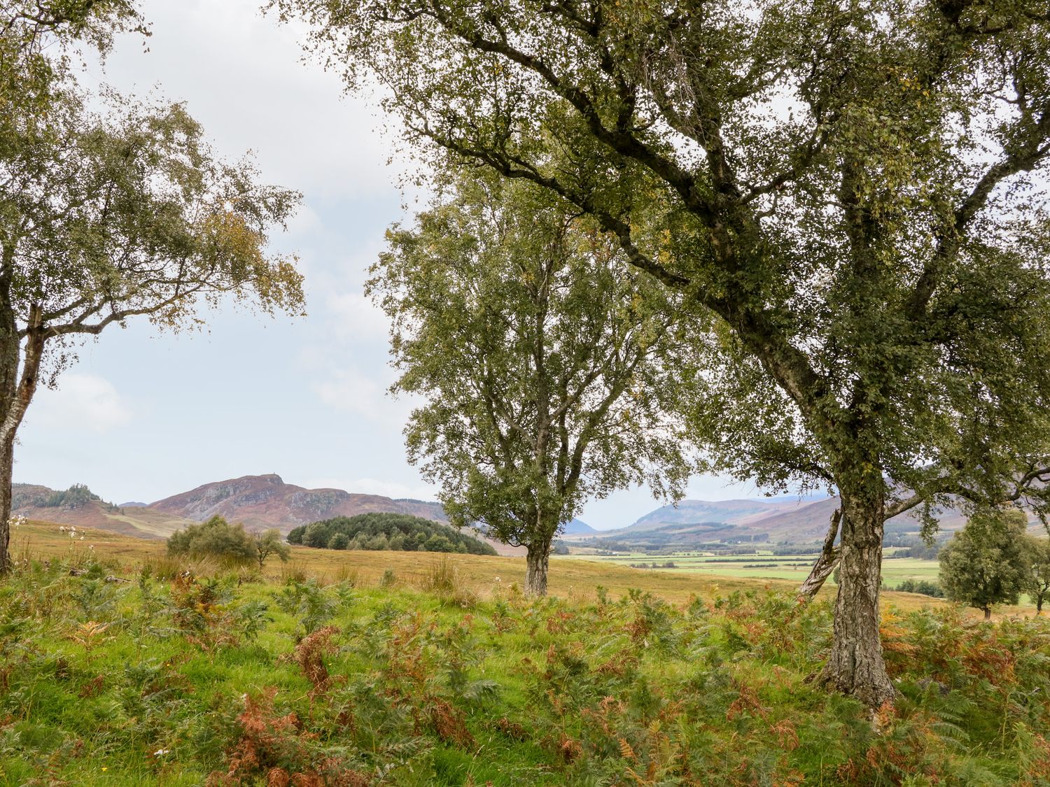Coraldie is near Newtonmore, Highland. Single-storey shepherd's hut, ideal for a couple. Rural views