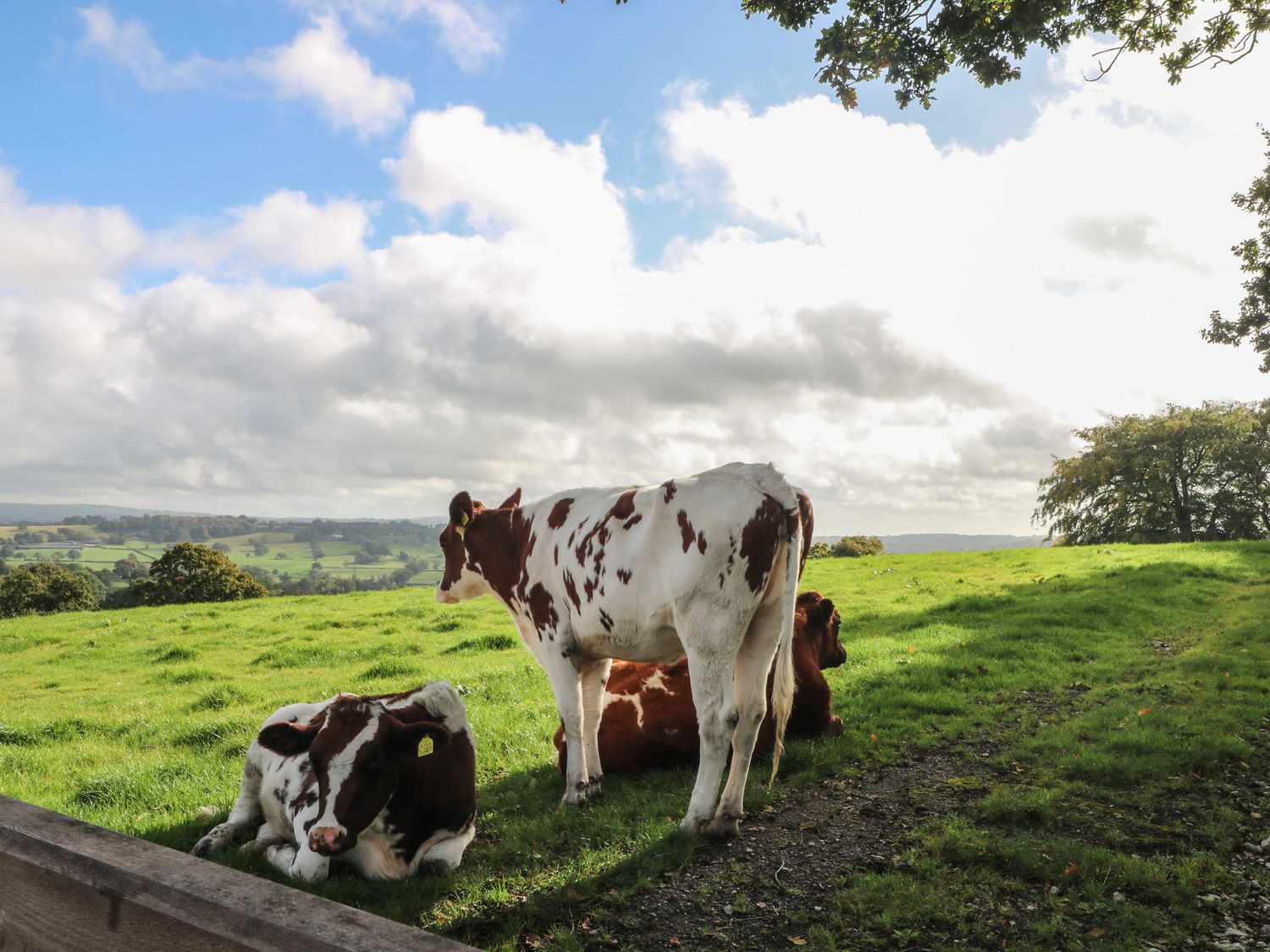 Small Lane Barn, Endon. Sleeps 8. Woodburning stove. Hot tub. Family-friendly. Open-plan. Parking. 