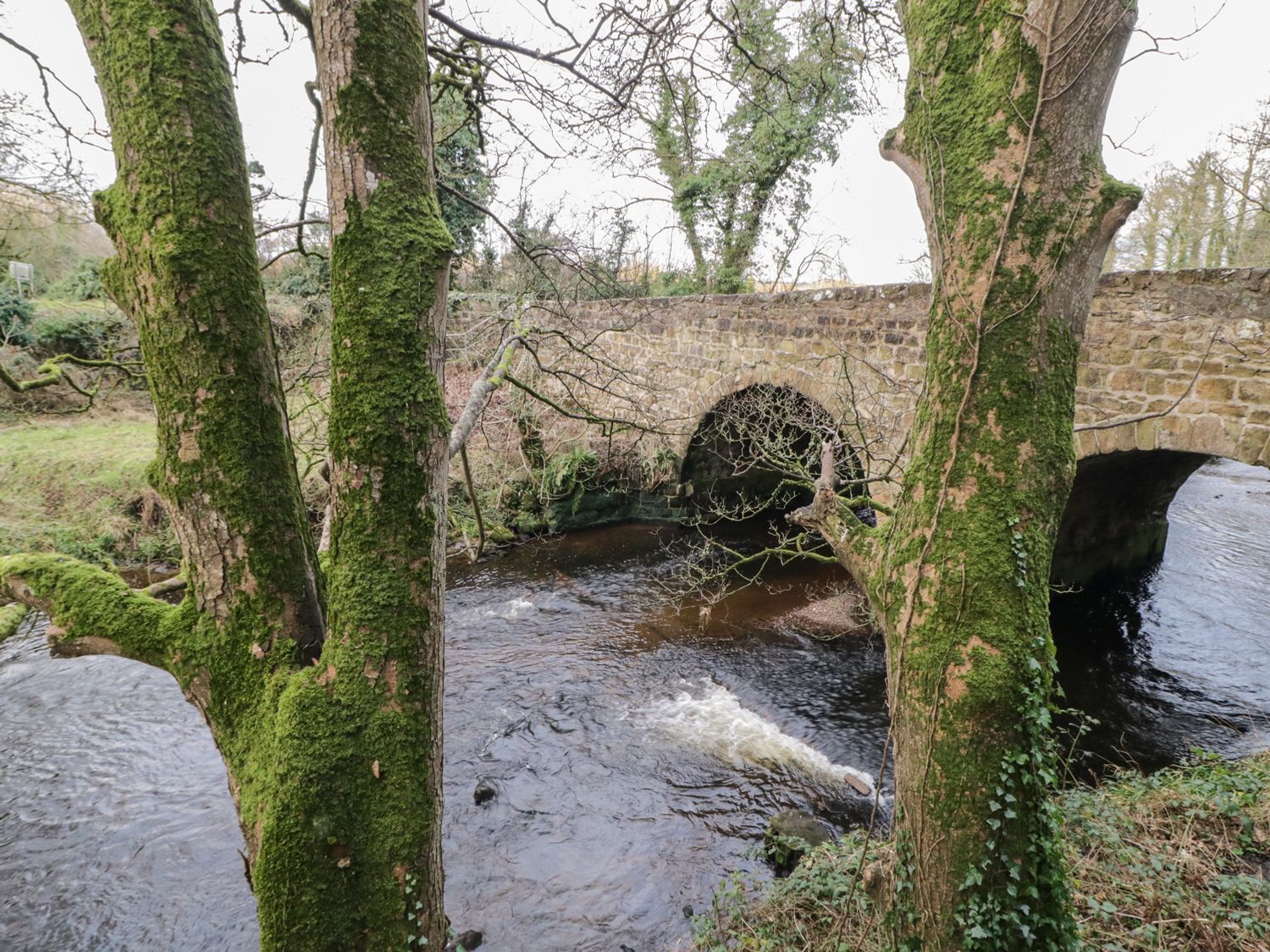 Buttermilk Lodge in Dungiven, Londonderry. Single-storey. Balcony. River views. Studio-style. Rural.