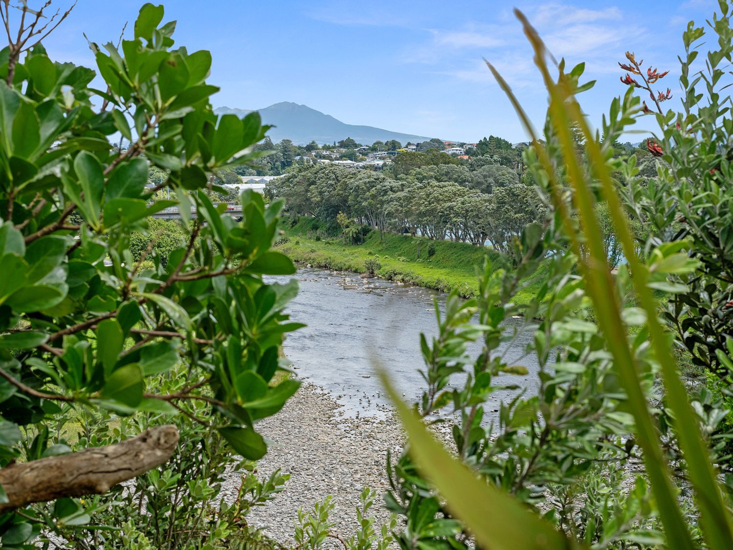 The Fritz - New Plymouth Holiday Home                     photo 24