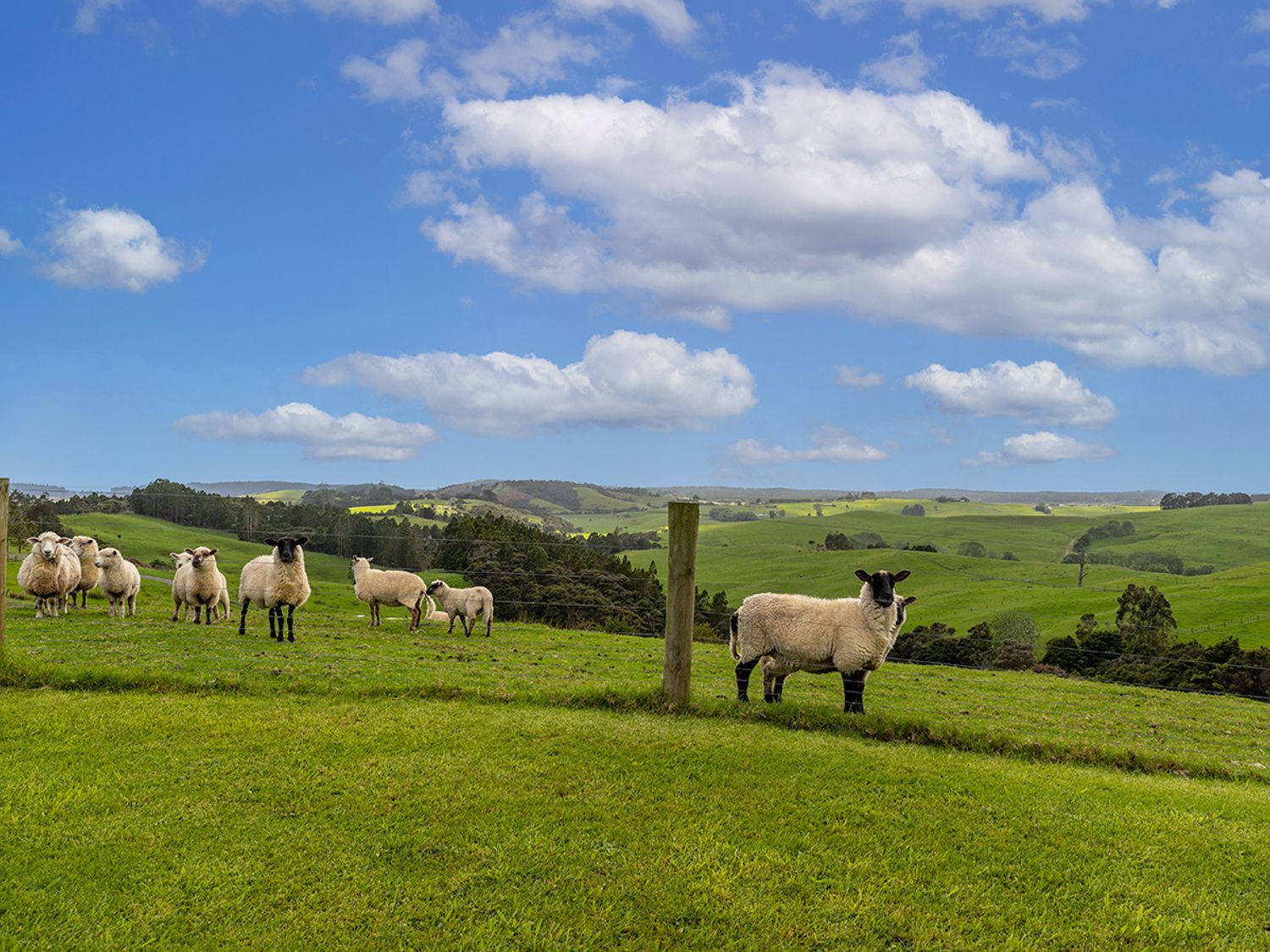 Walkers Retreat -  Te Arai Unit                     photo 20