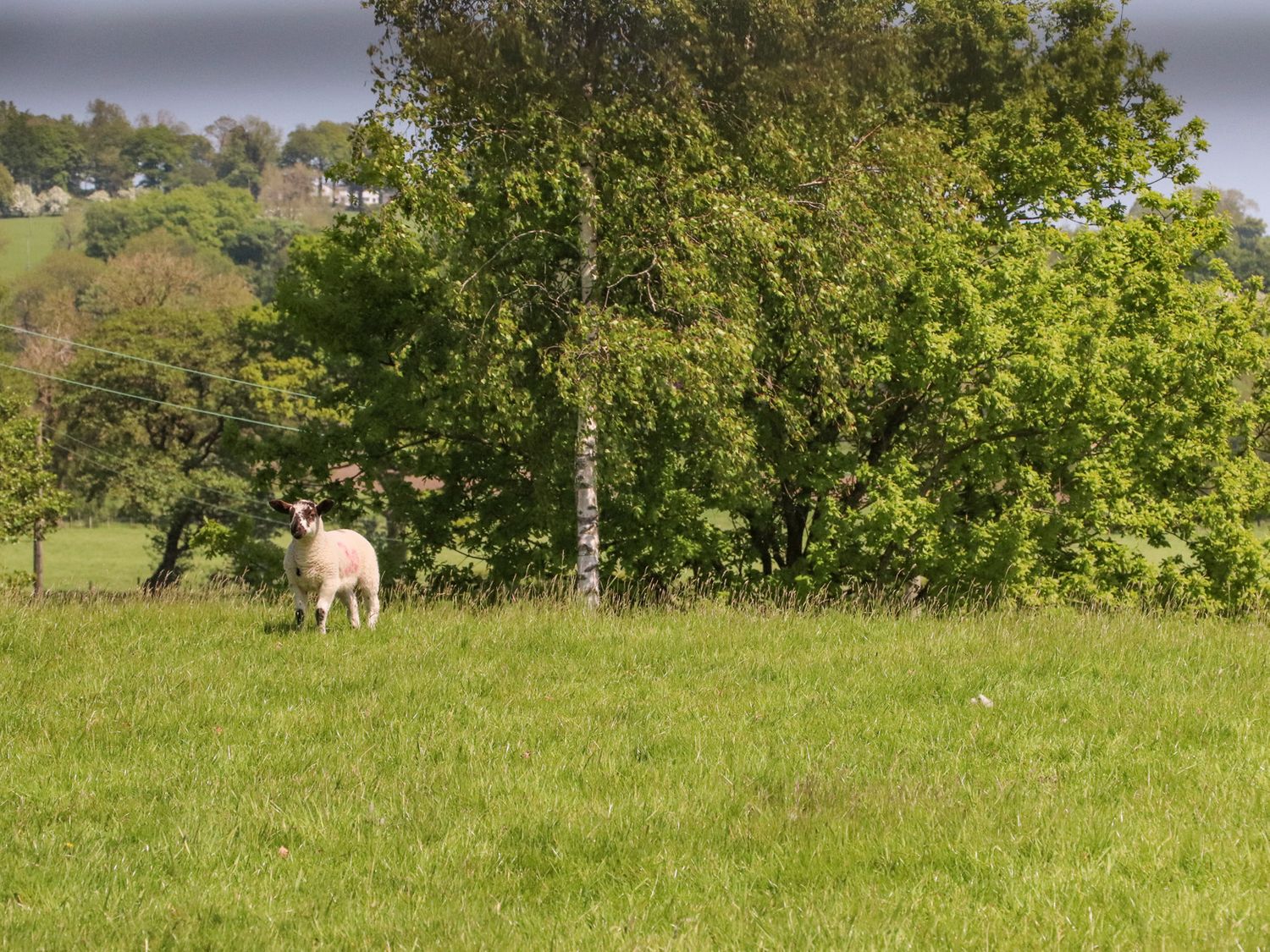 Ribble View, Chatburn