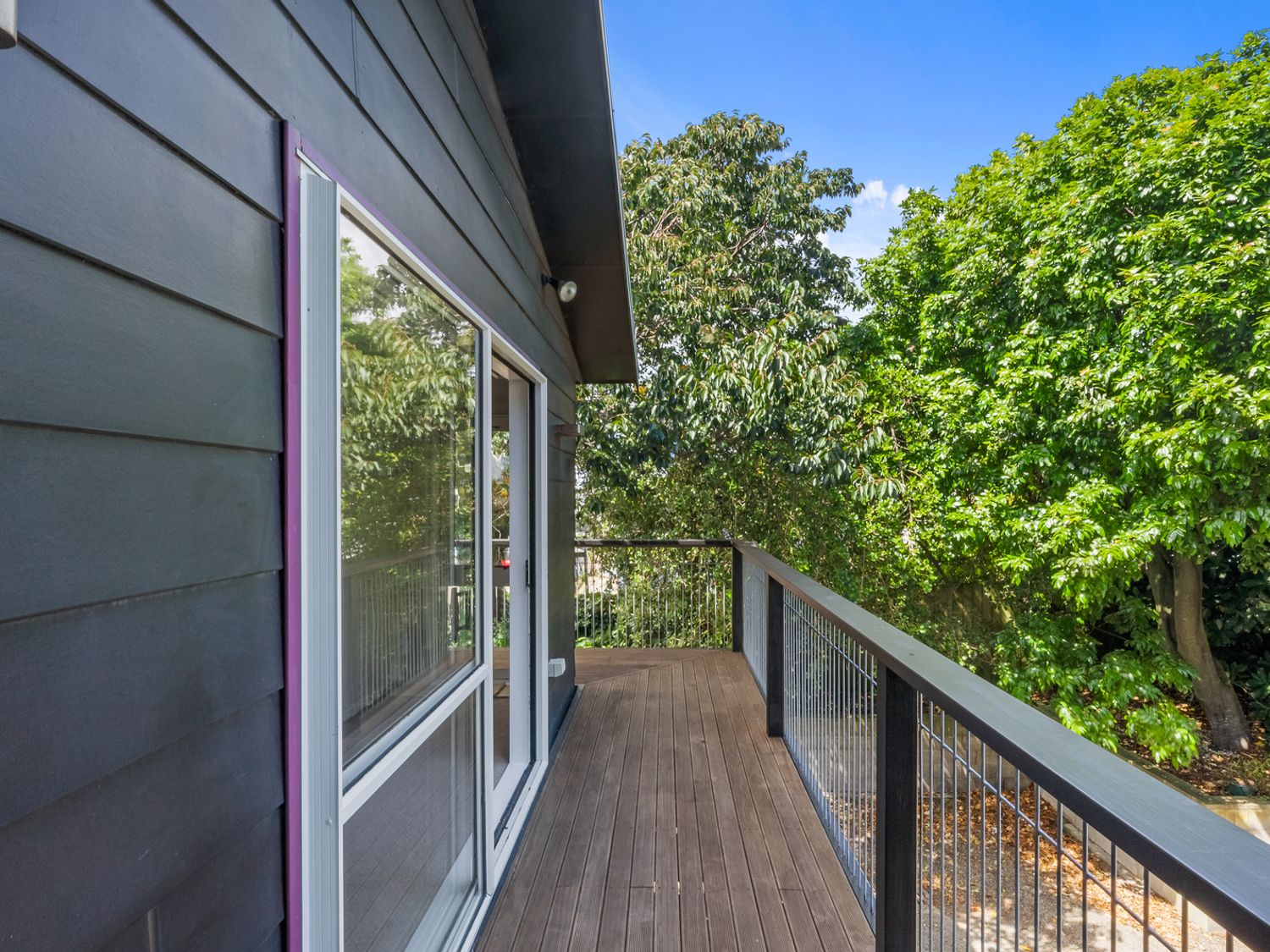 Bold Beauty – Paraparaumu Upstairs Holiday Unit                     photo 16