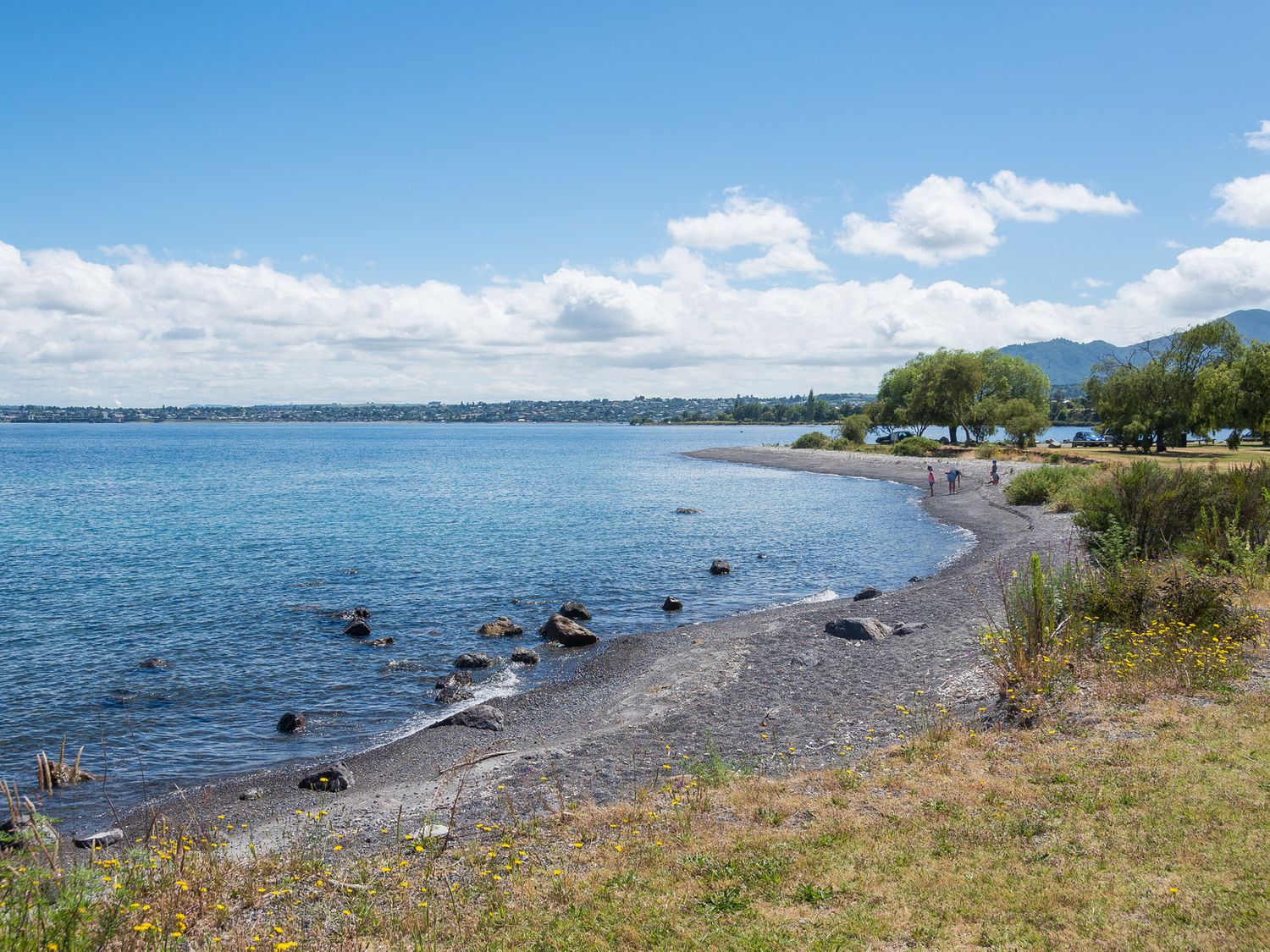 Mid-Century Charm - Taupo Holiday Home                     photo 26