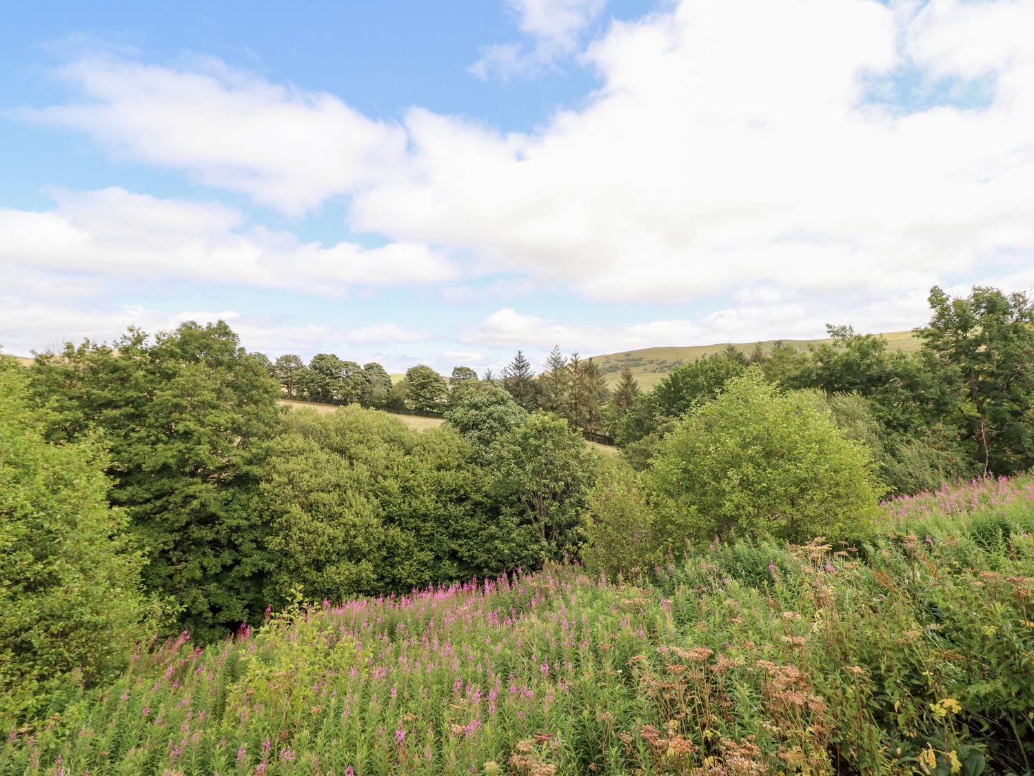 Cuckoo Hut, Maengwyneddd, nr Llanrhaeadr-Ym-Mochnant, Powys. Woodburning stove. Pet-friendly. Rural.