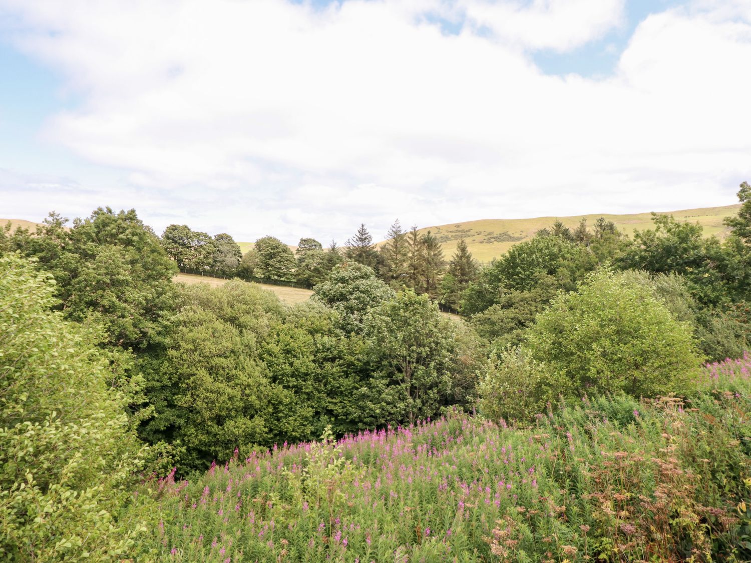 Cuckoo Hut, Maengwyneddd, nr Llanrhaeadr-Ym-Mochnant, Powys. Woodburning stove. Pet-friendly. Rural.