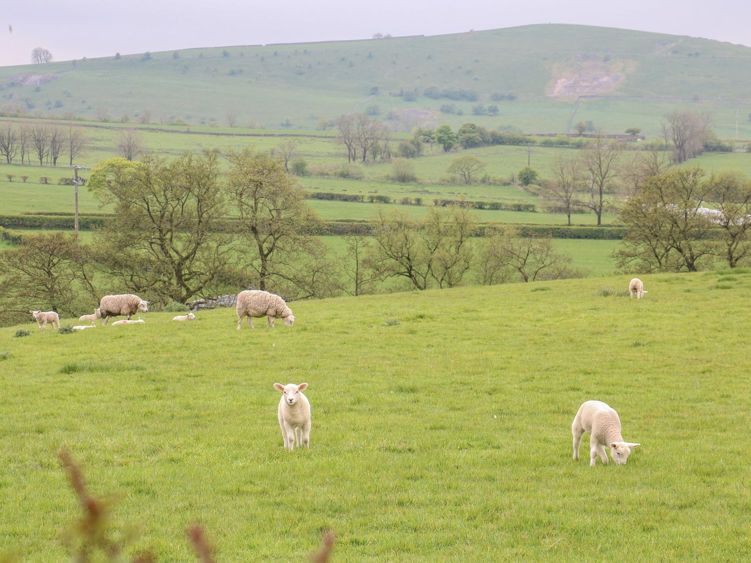 Upper Hurst Farmhouse nr Hartington, Staffordshire. Hot tub. Scenic views. EV charging. Close to pub