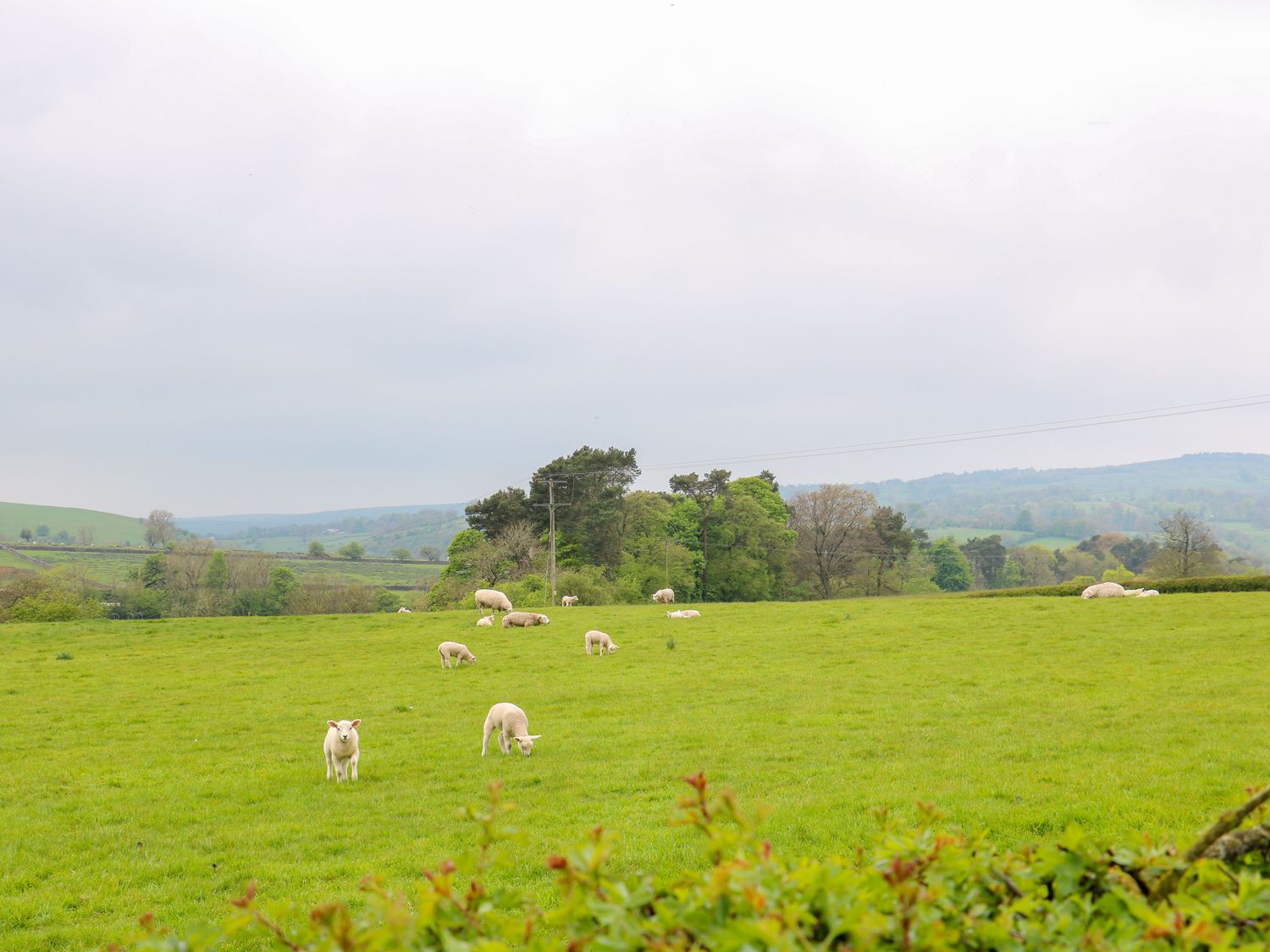 Upper Hurst Farmhouse nr Hartington, Staffordshire. Hot tub. Scenic views. EV charging. Close to pub