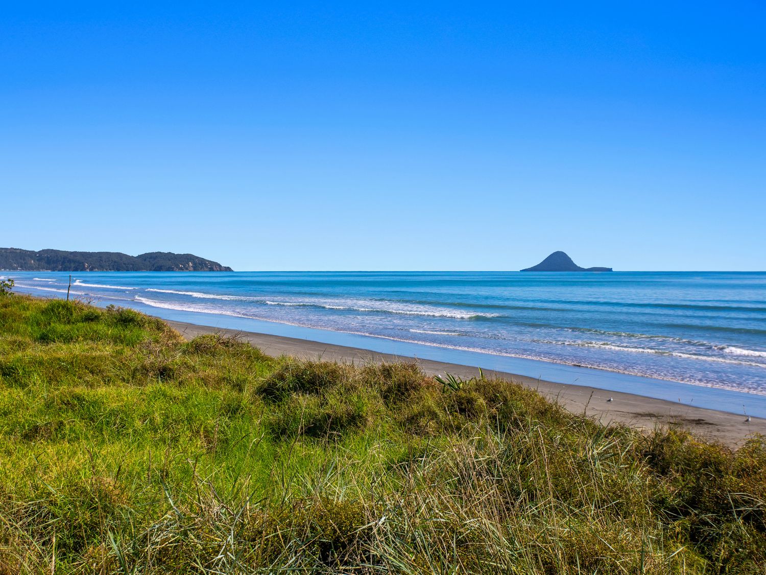 Elevated Beach Oasis - Ohope Beach Holiday Home                     photo 22