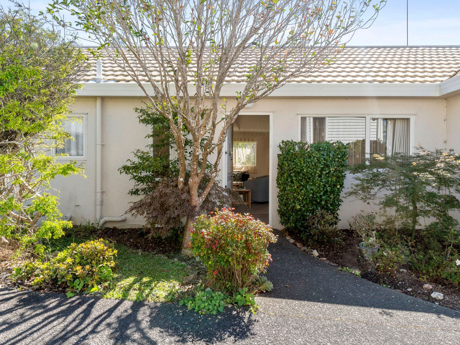 Little Manly Cottage - Manly Holiday Home -  - 1132575 - photo 1