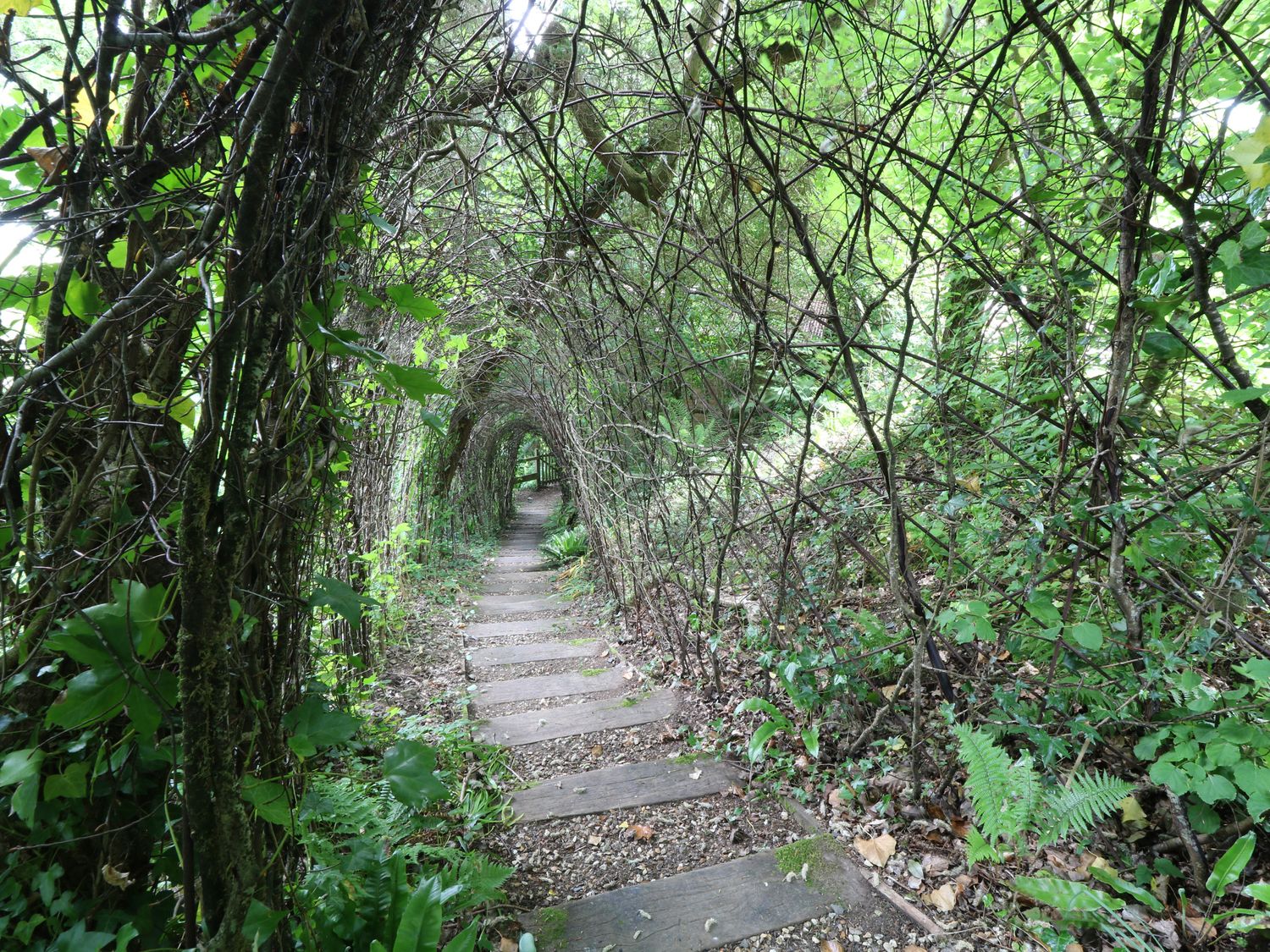 The Bird Box, Okehampton, Devon. One bedroom. Romantic dwelling. Woodland setting. Communal hot tub.