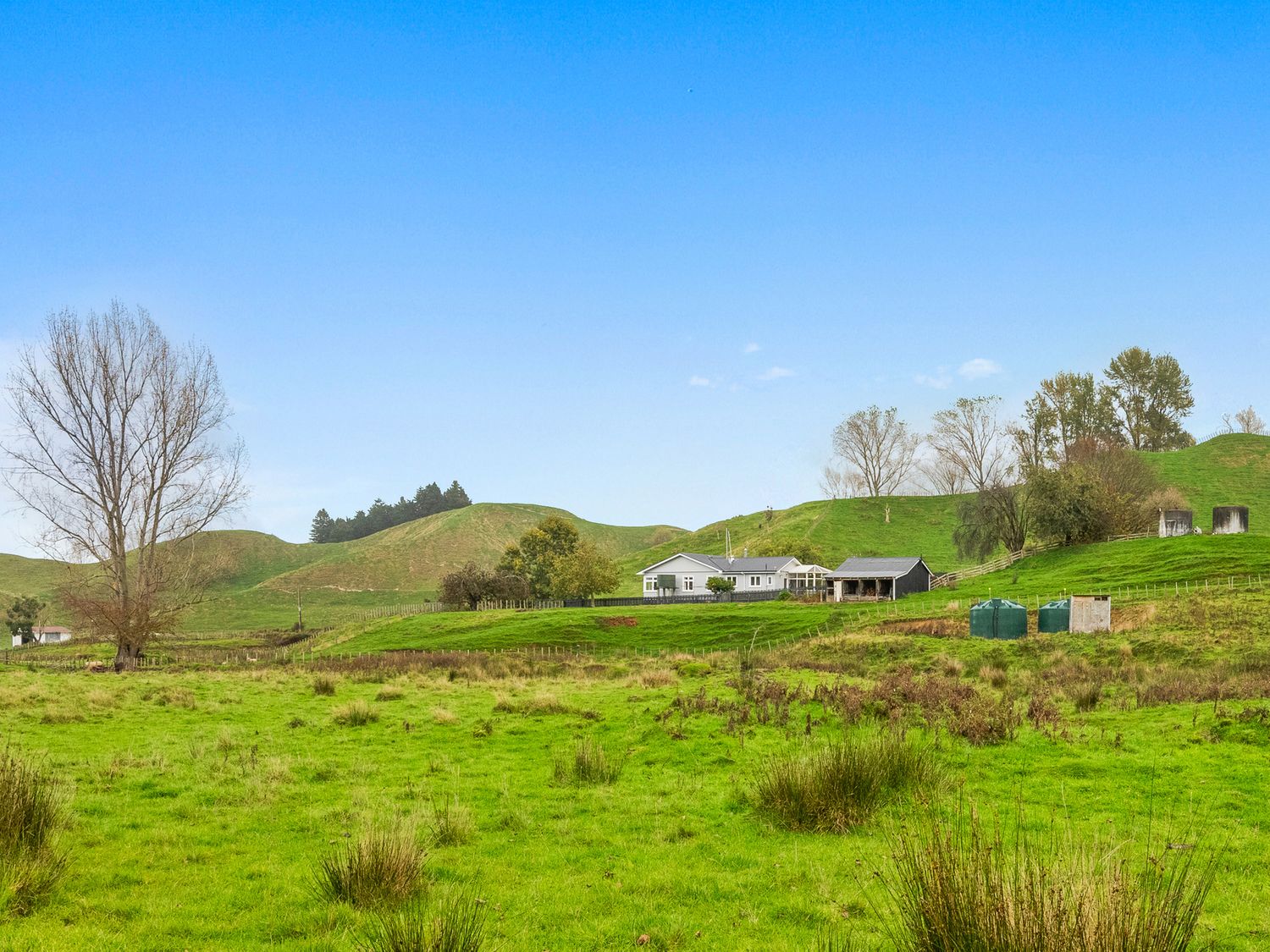 Staghead Cottage – Manawatu Holiday Home                     photo 26