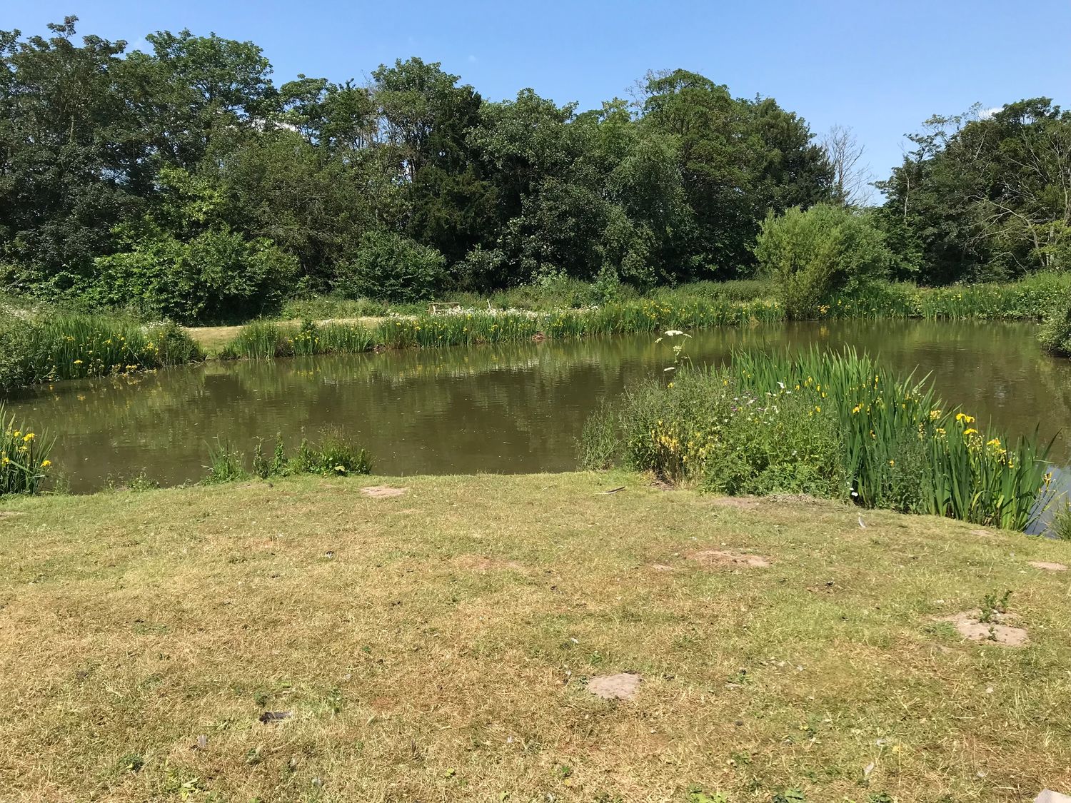 Southdown Luxury Glamping, Nottingham
