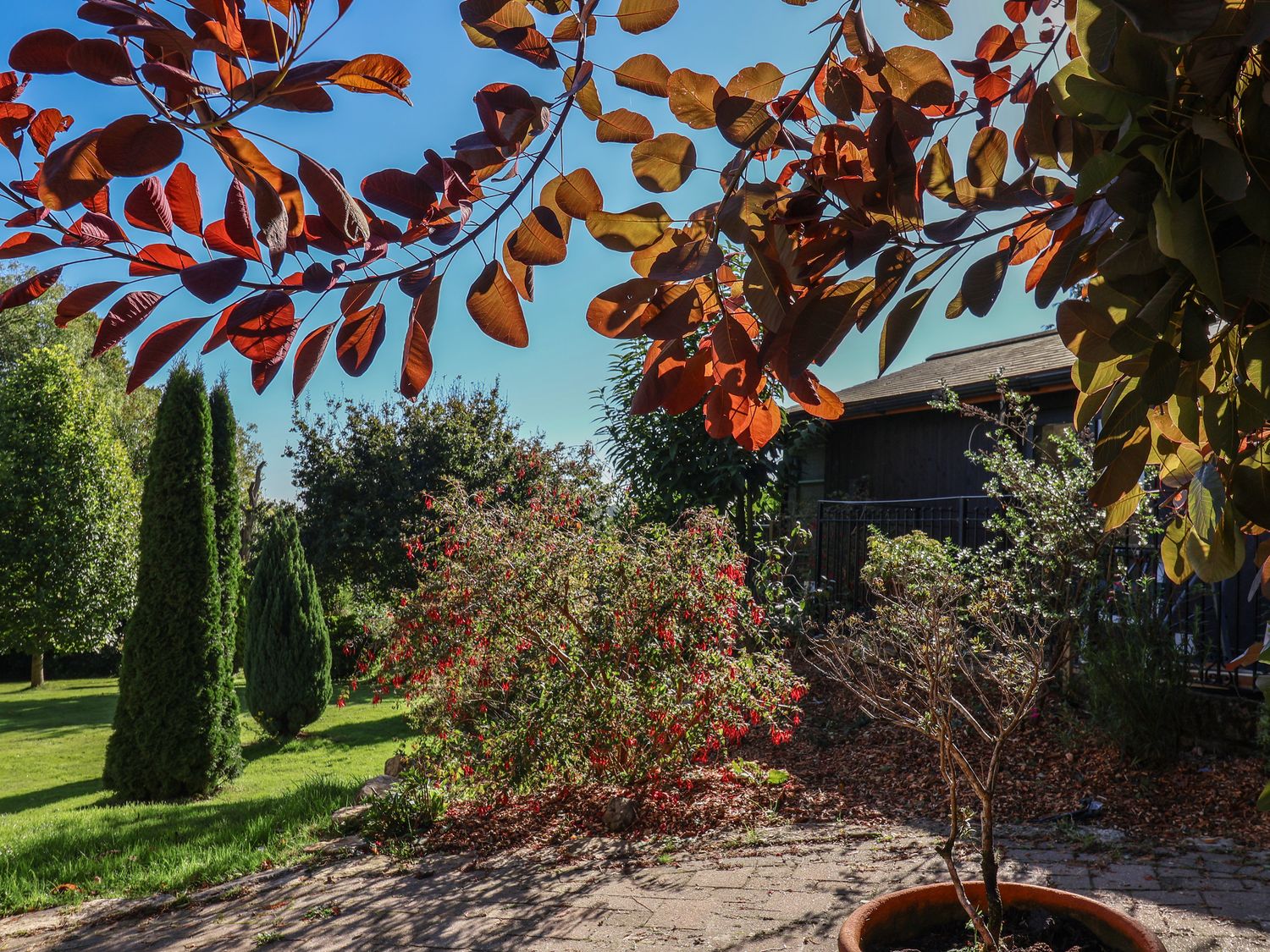 Sir George Baker Cabin, Uplyme, Devon/Dorset border, hot tub, garden, and peaceful woodland setting.