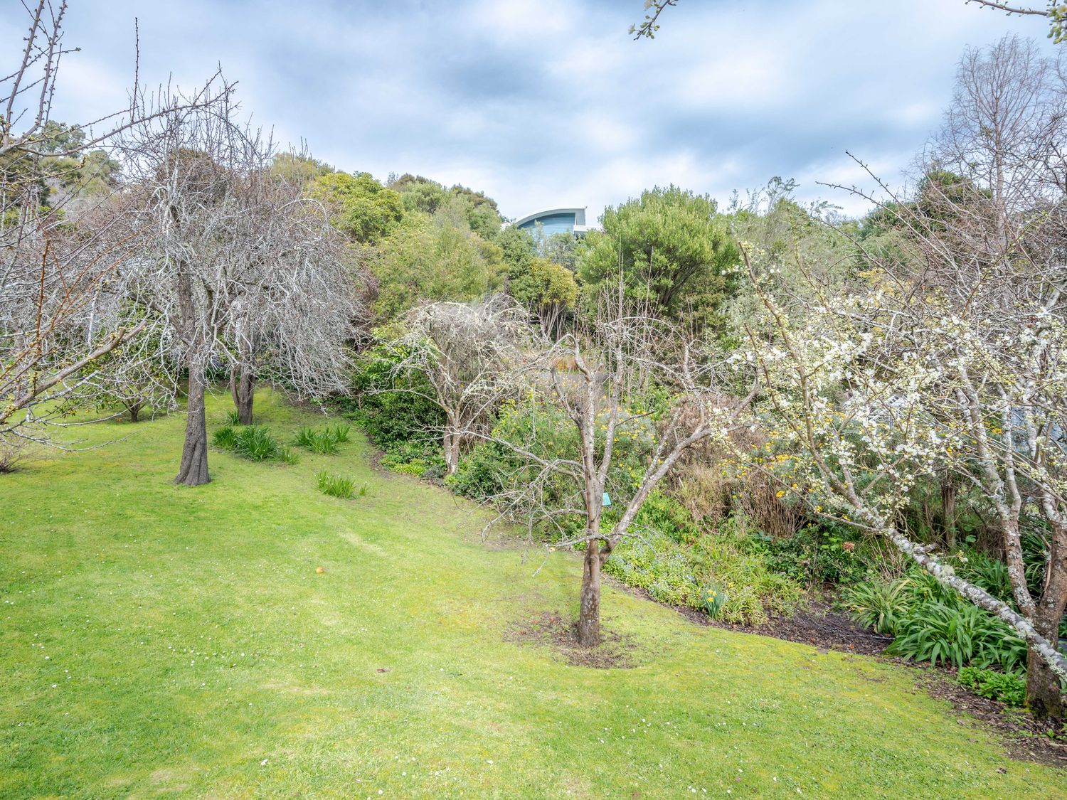 A garden with leafless and blossoming trees and green grass at Libeau Cottage - Akaroa Holiday Home in Akaroa