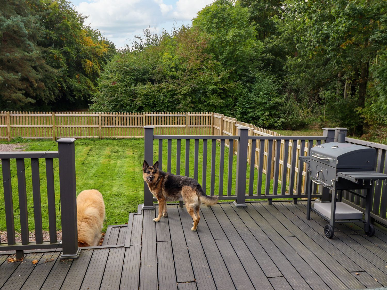 Woodland Lodge in Frithville, Boston, Lincolnshire. Dog-friendly. Romantic. Woodburning stove.