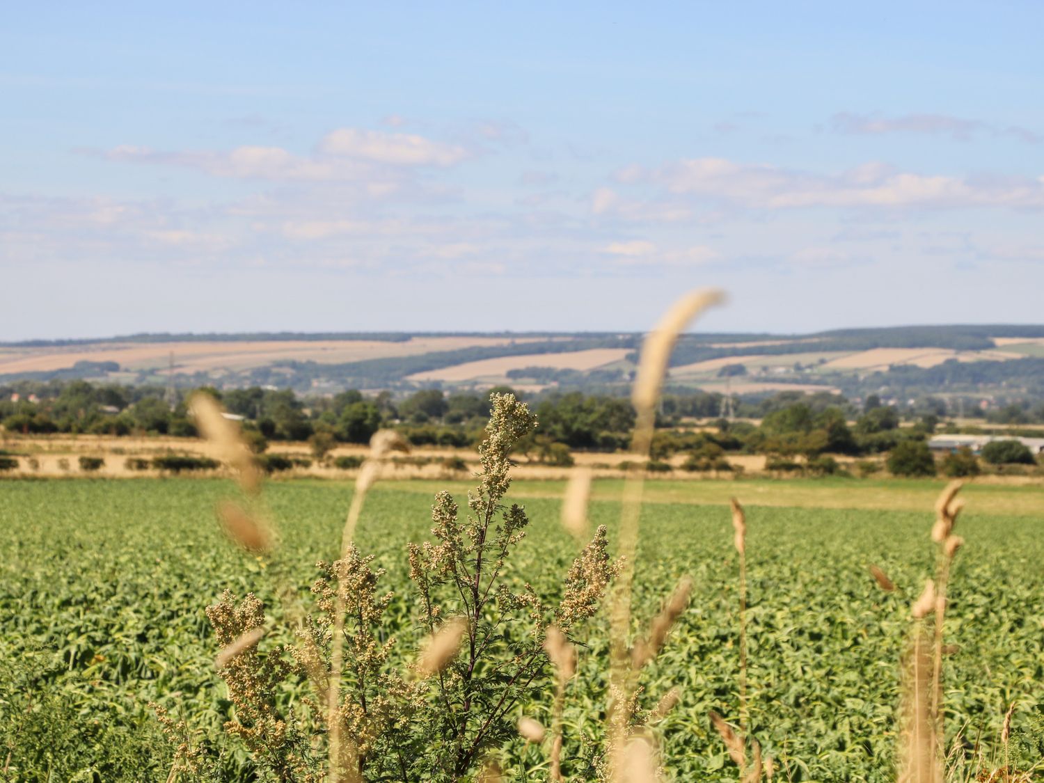 Silverdale View is near Sherburn, in North Yorkshire. Two-bedroom lodge with hot tub. Near amenities