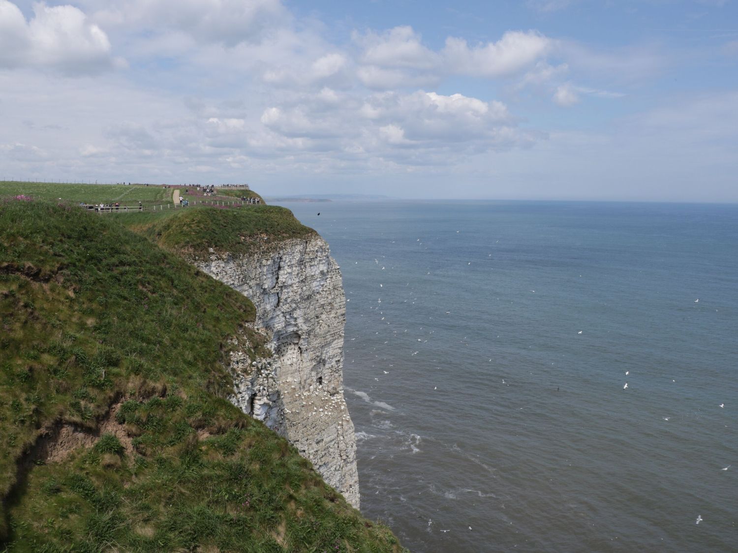 Kittiwake Flamborough, East Riding of Yorkshire. Close to amenities and a beach. Pet-friendly.