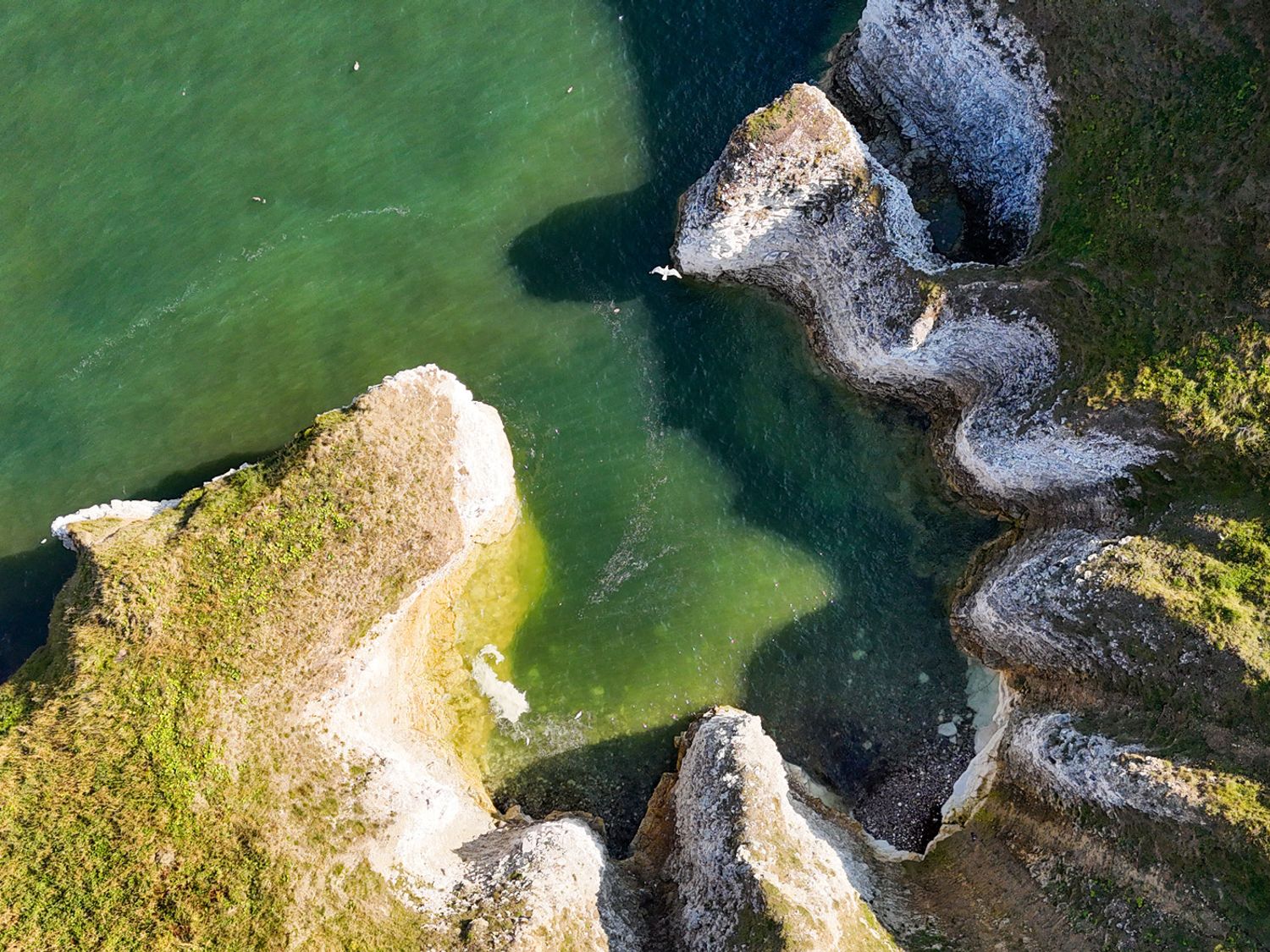 Kittiwake Flamborough, East Riding of Yorkshire. Close to amenities and a beach. Pet-friendly.