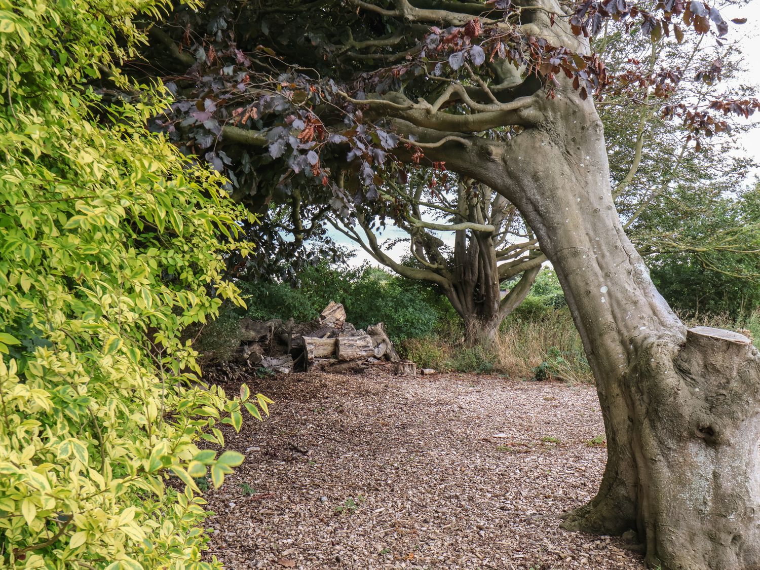 Kittiwake Flamborough, East Riding of Yorkshire. Close to amenities and a beach. Pet-friendly.