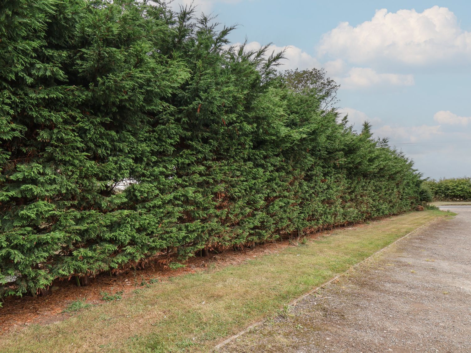 Kittiwake Flamborough, East Riding of Yorkshire. Close to amenities and a beach. Pet-friendly.