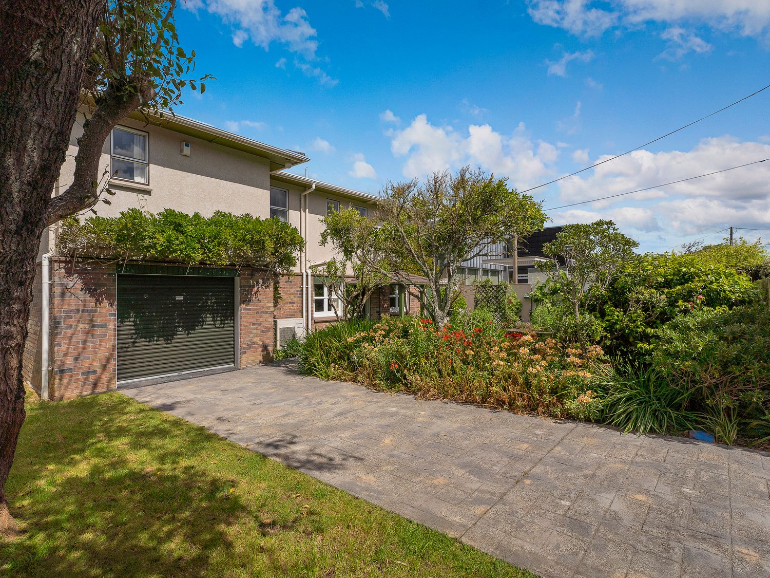 Buffalo Hill - Whitianga Holiday Home                     photo 31
