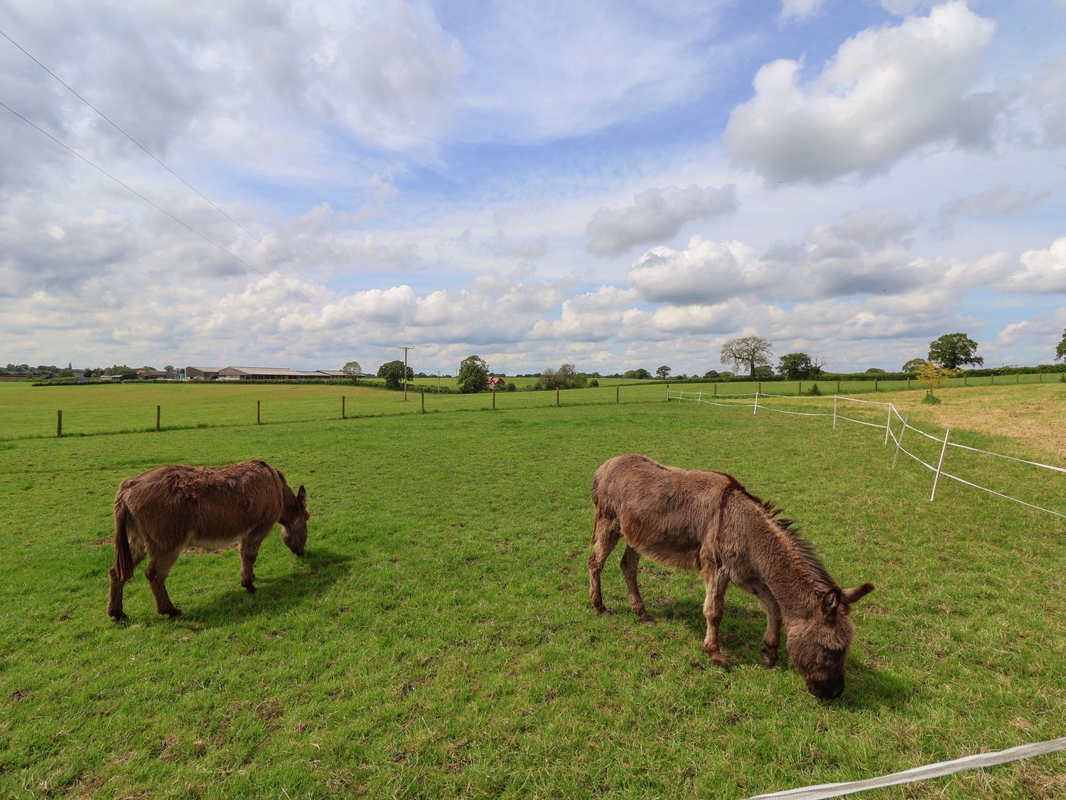 Holmside, Market Drayton, Shropshire. Off-road parking. Games. TV WiFi. Hot tub. Rural. Gas baebecue