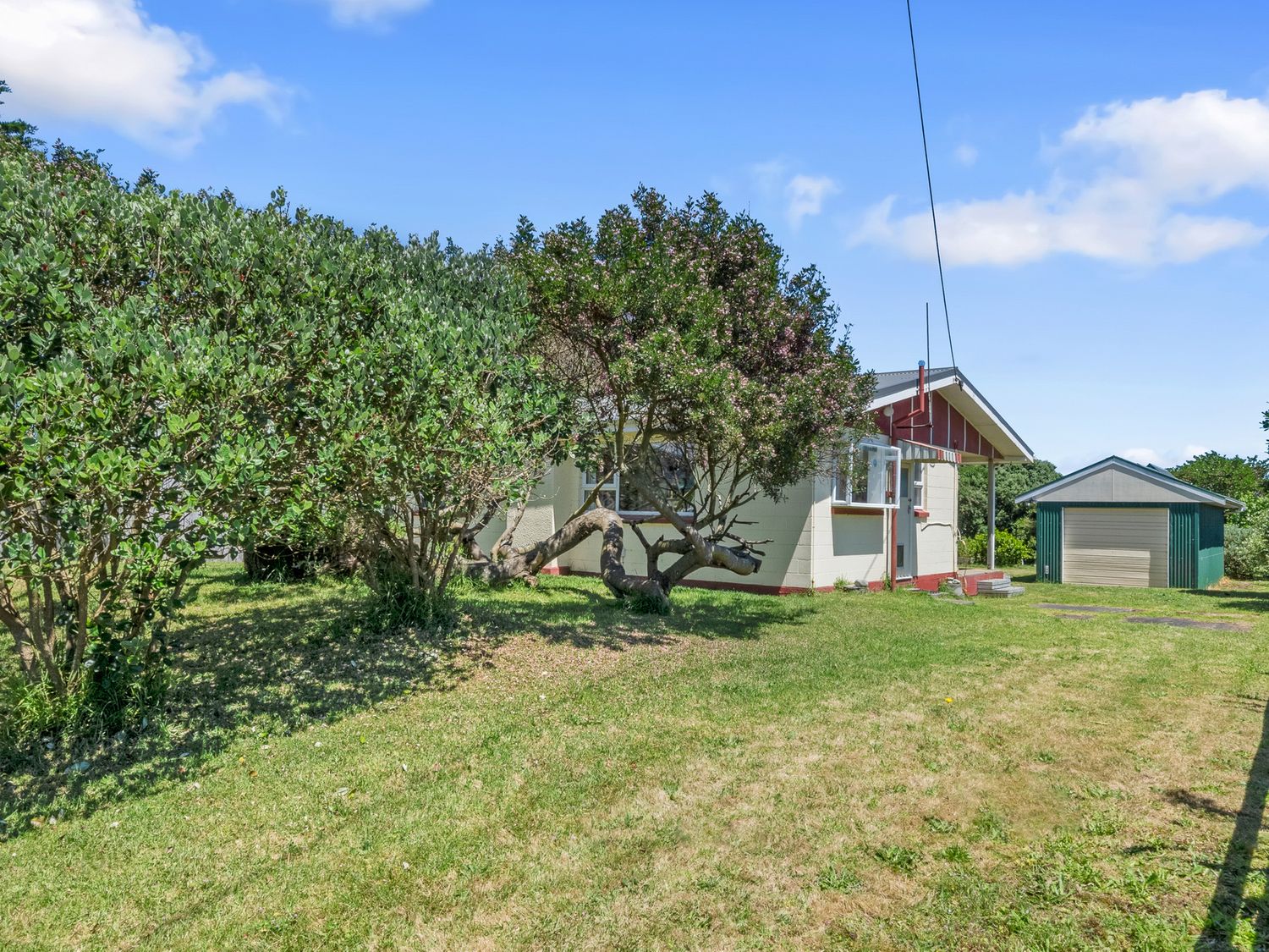 Sunlit Retreat - Te Horo Beach Holiday Home                     photo 15