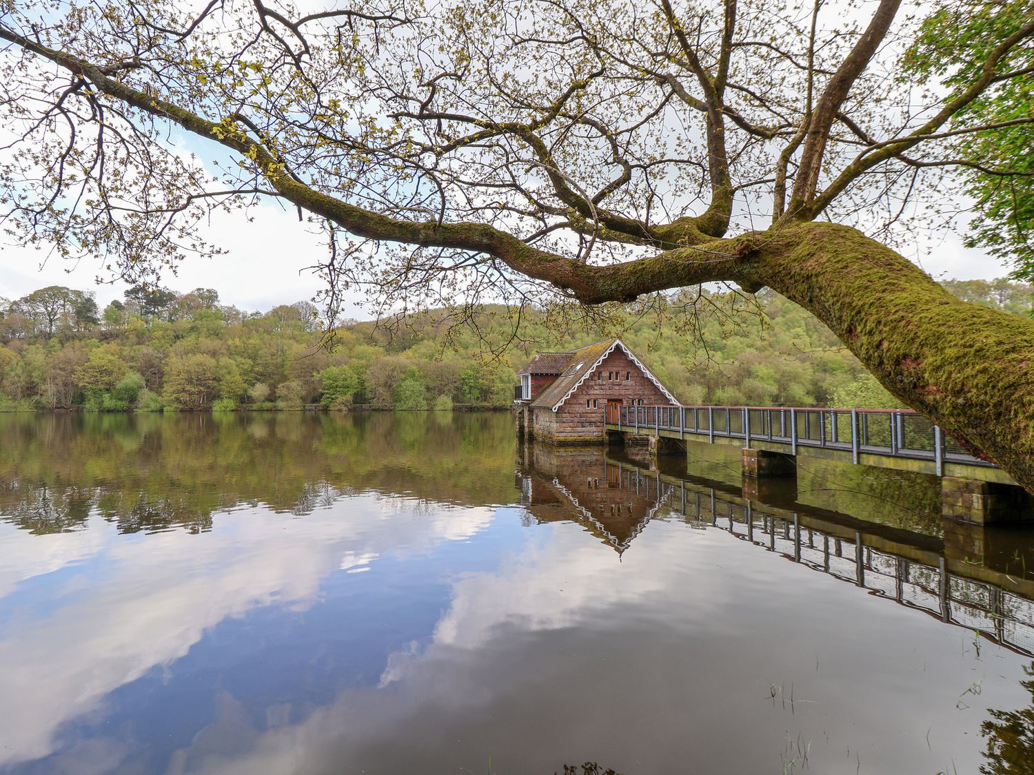 Lady Of The Lake, Rudyard Lake