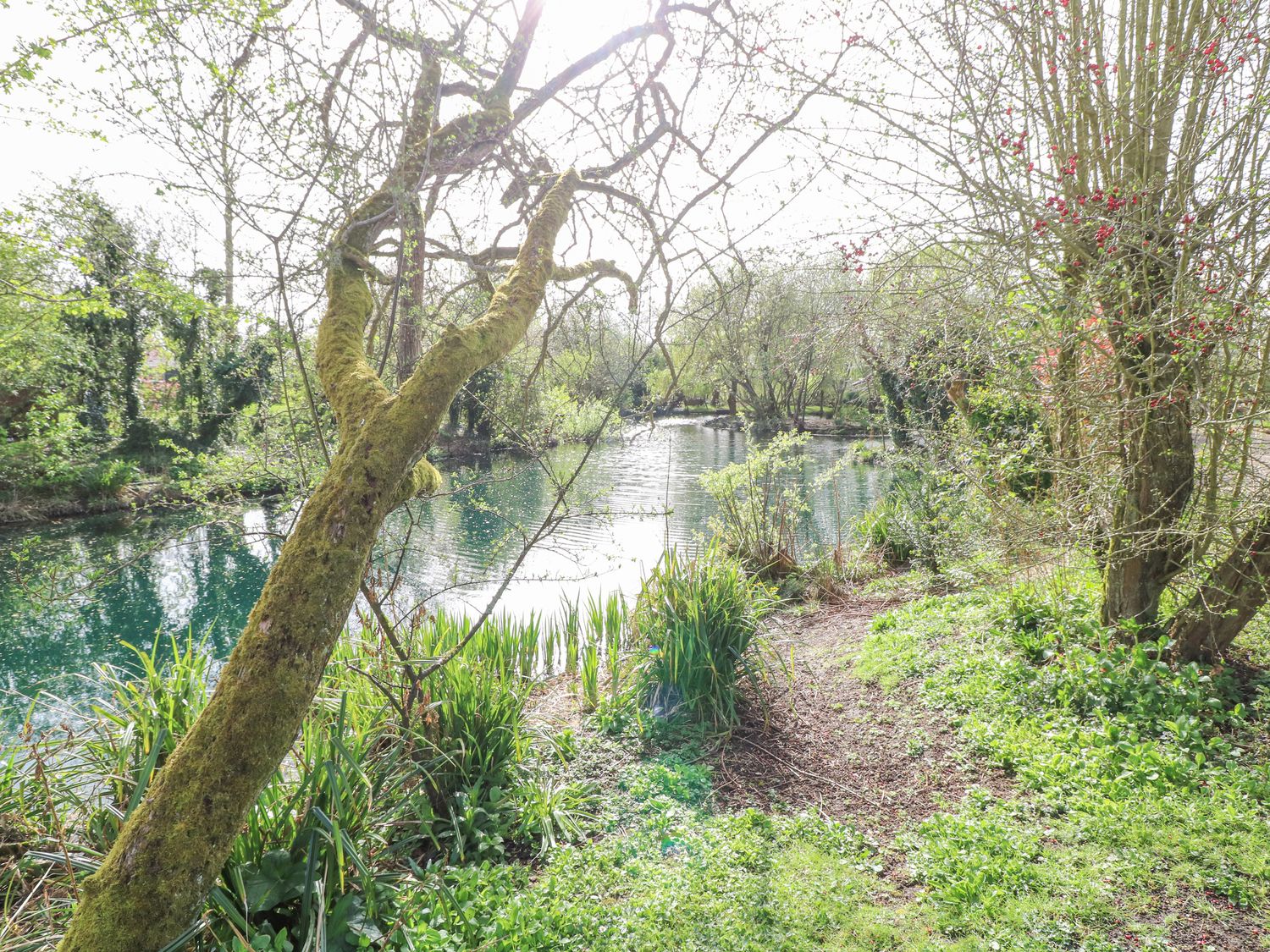 Wagtail Lodge in Badwell Ash in Suffolk. Lakeside lodge. Lovely views. Decking with hot tub and BBQ.